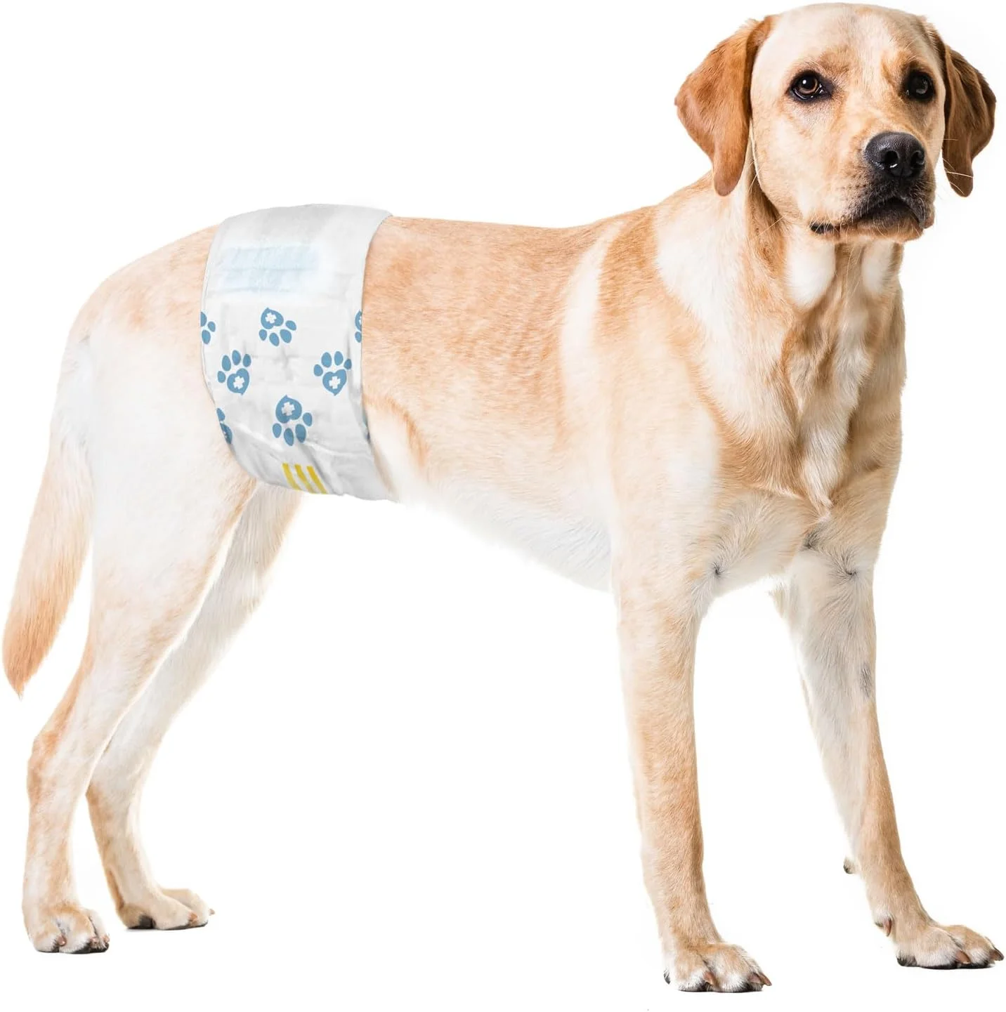 پوشک سگ نر ValueWrap، یک زبانه، بزرگ، 48 عدد