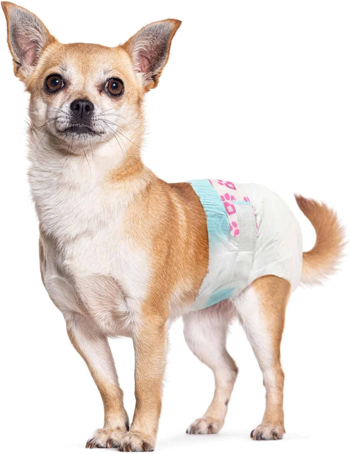 پوشک یکبار مصرف سگ ماده ValueFresh، خیلی کوچک، 144 عدد - پوشش کامل با سوراخ دم، بست های بدون گیر کردن، محافظت در برابر نشت، نشانگر رطوبت