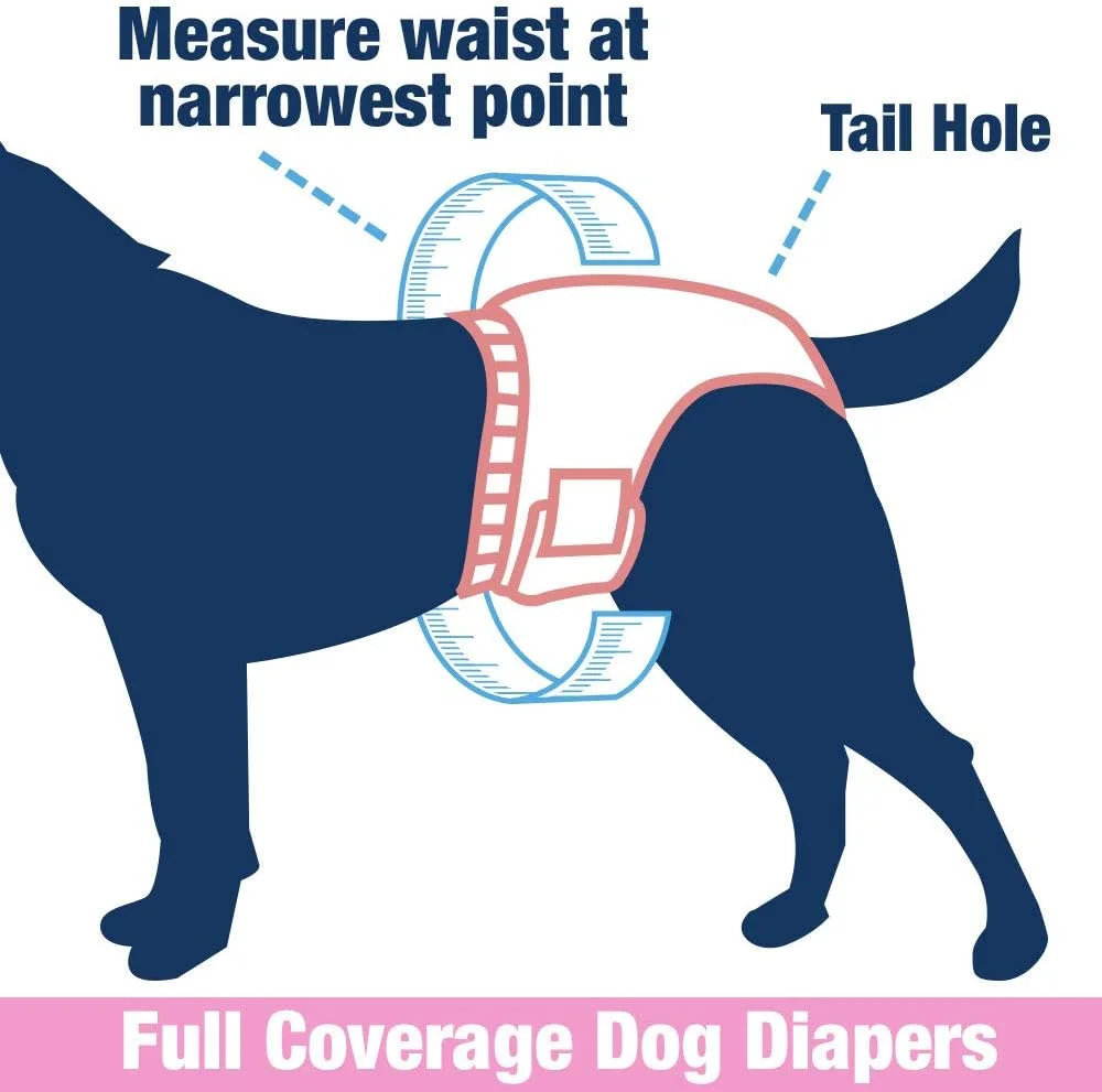 پوشک سگ ماده یکبار مصرف ValueFresh، سایز XX-بزرگ، 36 عددی - پوشش کامل با سوراخ دم، بست های بدون گیر کردن، محافظت در برابر نشت، نشانگر رطوبت