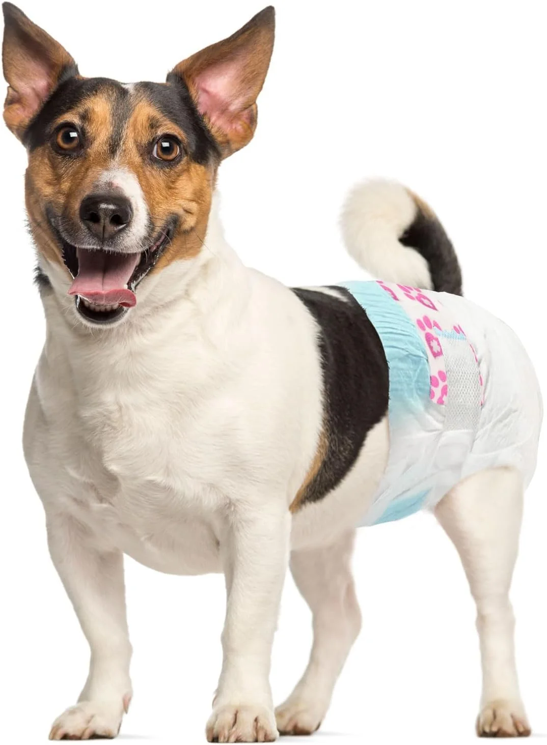 پوشک یکبار مصرف سگ ماده ValueFresh، سایز کوچک، بسته 288 عددی - پوشش کامل با سوراخ دم، بست های بدون گیر کردن، محافظت در برابر نشت، نشانگر رطوبت