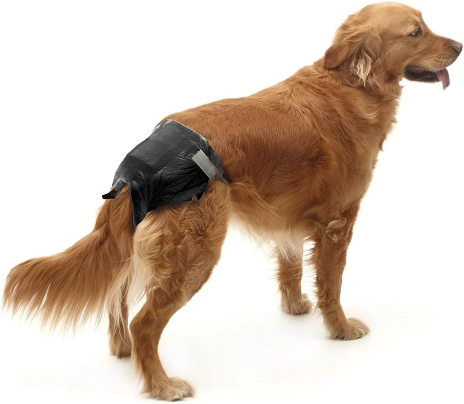 پوشک یکبار مصرف سگ و گربه وادیگران ساویچ مدل Comfort Nappy سایز 3