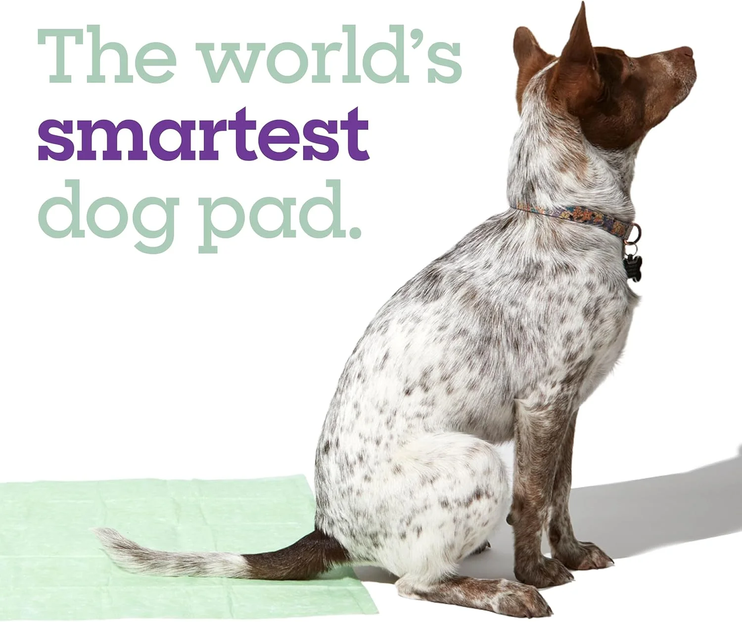 پدهای آموزشی سگ بزرگ پت لایف آنلیمیتد با قابلیت ردیابی سلامت، پدهای ادرار سگ، پدهای آموزش ادرار سگ