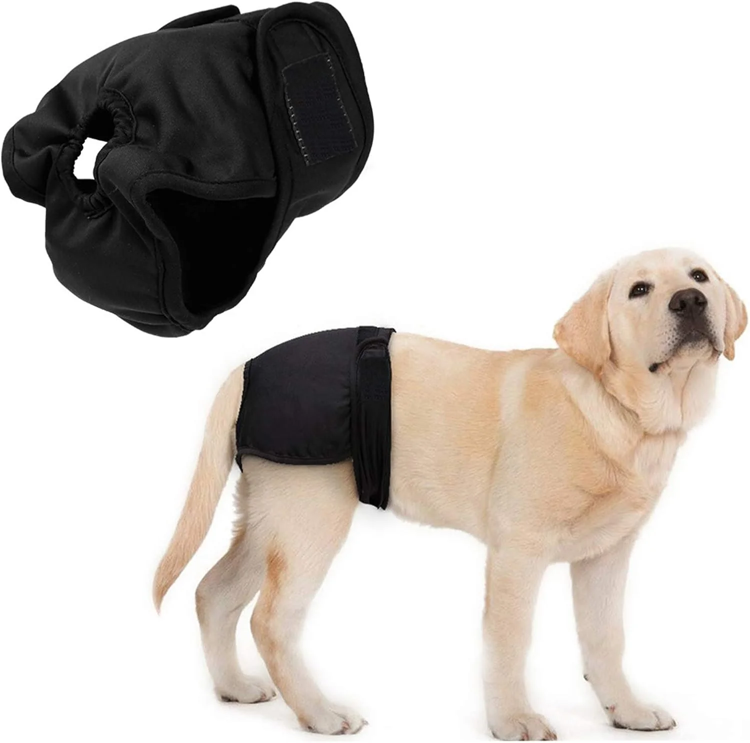 شورت سگ ماده قابل شستشو و استفاده مجدد، پوشک بهداشتی حیوانات خانگی