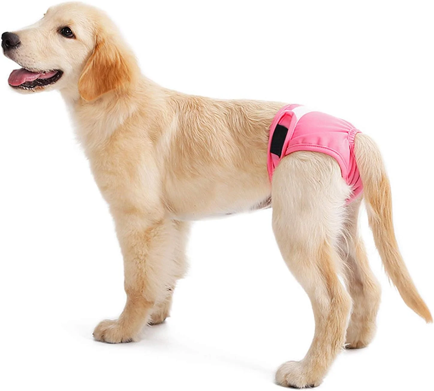 شورت سگ ماده قابل شستشو و استفاده مجدد، پوشک بهداشتی حیوانات خانگی