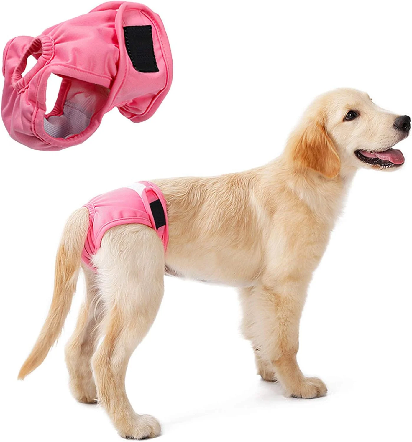 شورت سگ ماده قابل شستشو و استفاده مجدد، پوشک بهداشتی حیوانات خانگی