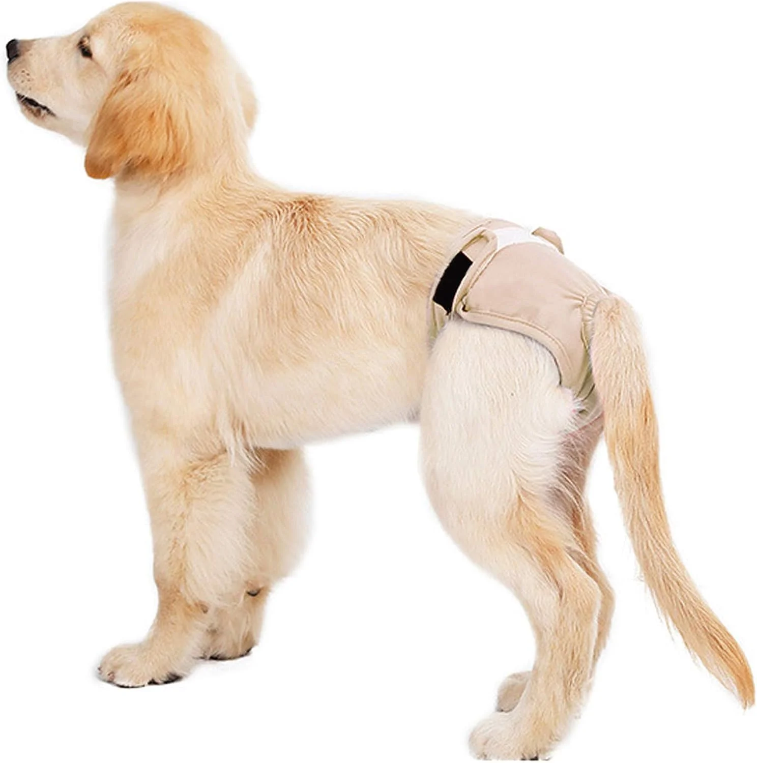 شورت سگ ماده قابل شستشو و استفاده مجدد، پوشک بهداشتی حیوانات خانگی