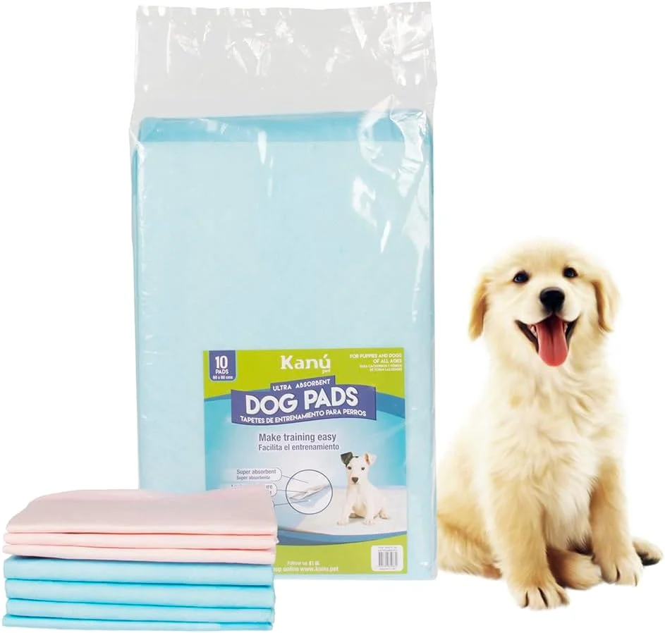 پدهای آموزشی سگ با جذب فوق العاده، 20 عدد