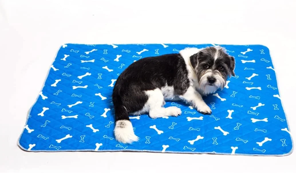 پد آموزشی حیوانات خانگی، پد ادرار سگ، ضد آب، قابل شستشو، قابل استفاده مجدد با طرح استخوان، جذب فوق العاده برای توله سگ، سگ خانگی، آبی، سایز بزرگ، تخت سگ، مبلمان، تشک سگ