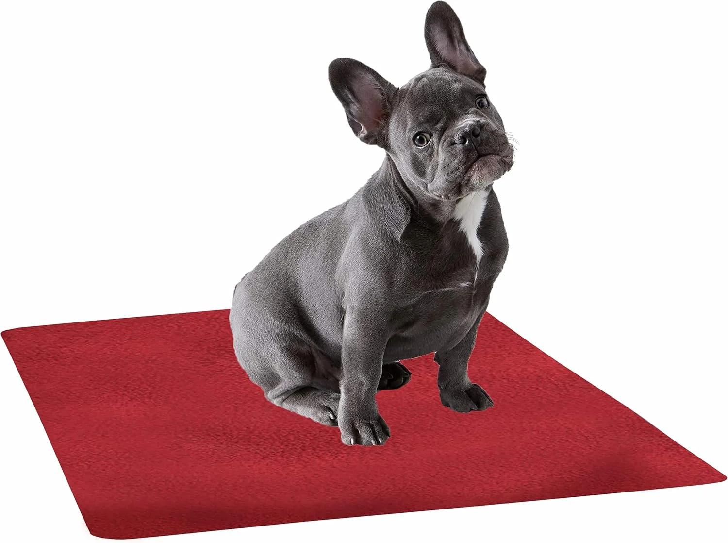 پدهای آموزشی ضد آب سگ و توله سگ Trance | قابل استفاده مجدد | زیرانداز خشک شونده قابل شستشو - سایز متوسط (1 x 0.7 متر | 100 x 70 سانتی متر - زرشکی) پدهای آموزشی ضد آب سگ و توله سگ Trance | قابل استفاده مجدد | زیرانداز خشک شونده قابل شستشو - سایز متوسط (1 x 0.7 متر | 100 x 70 سانتی متر - زرشکی)