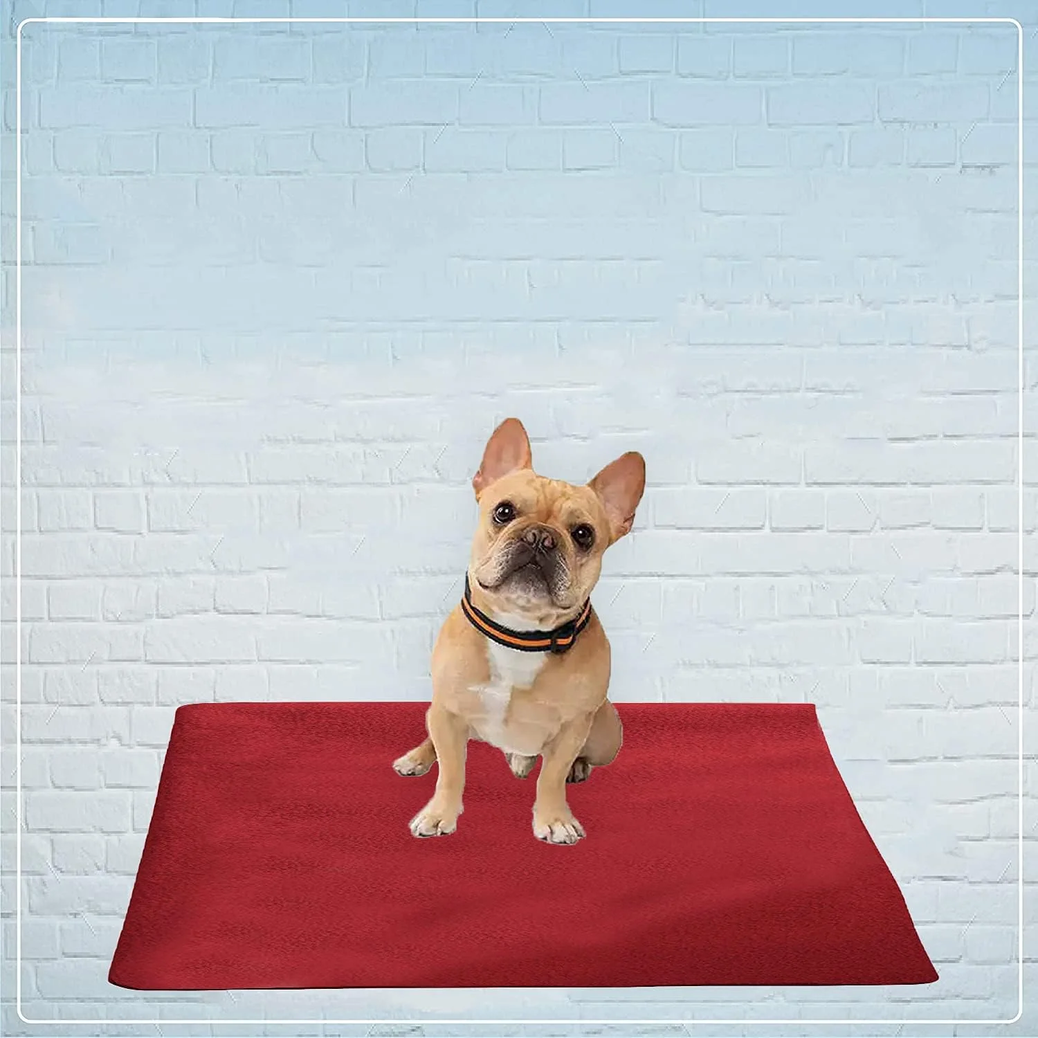 پدهای آموزشی ضد آب سگ و توله سگ Trance | قابل استفاده مجدد | زیرانداز خشک شونده قابل شستشو - سایز متوسط (1 x 0.7 متر | 100 x 70 سانتی متر - زرشکی)