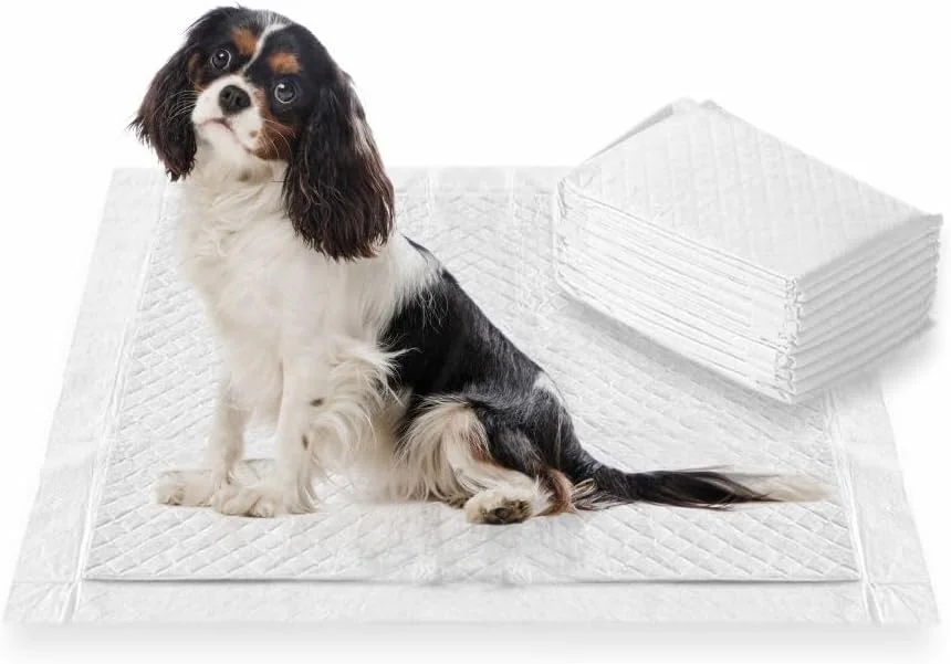 پدهای آموزش ادرار سگ، پدهای ضخیم آموزش سگ، طراحی 3 لایه، ضد آب، فوق العاده جاذب، خشک شدن سریع، توالت، پد آموزش ادرار برای سگ ها، گربه ها، حیوانات خانگی، خرگوش ها و خوکچه های هندی 50 X 40 سانتی متر (بسته 10 عددی)