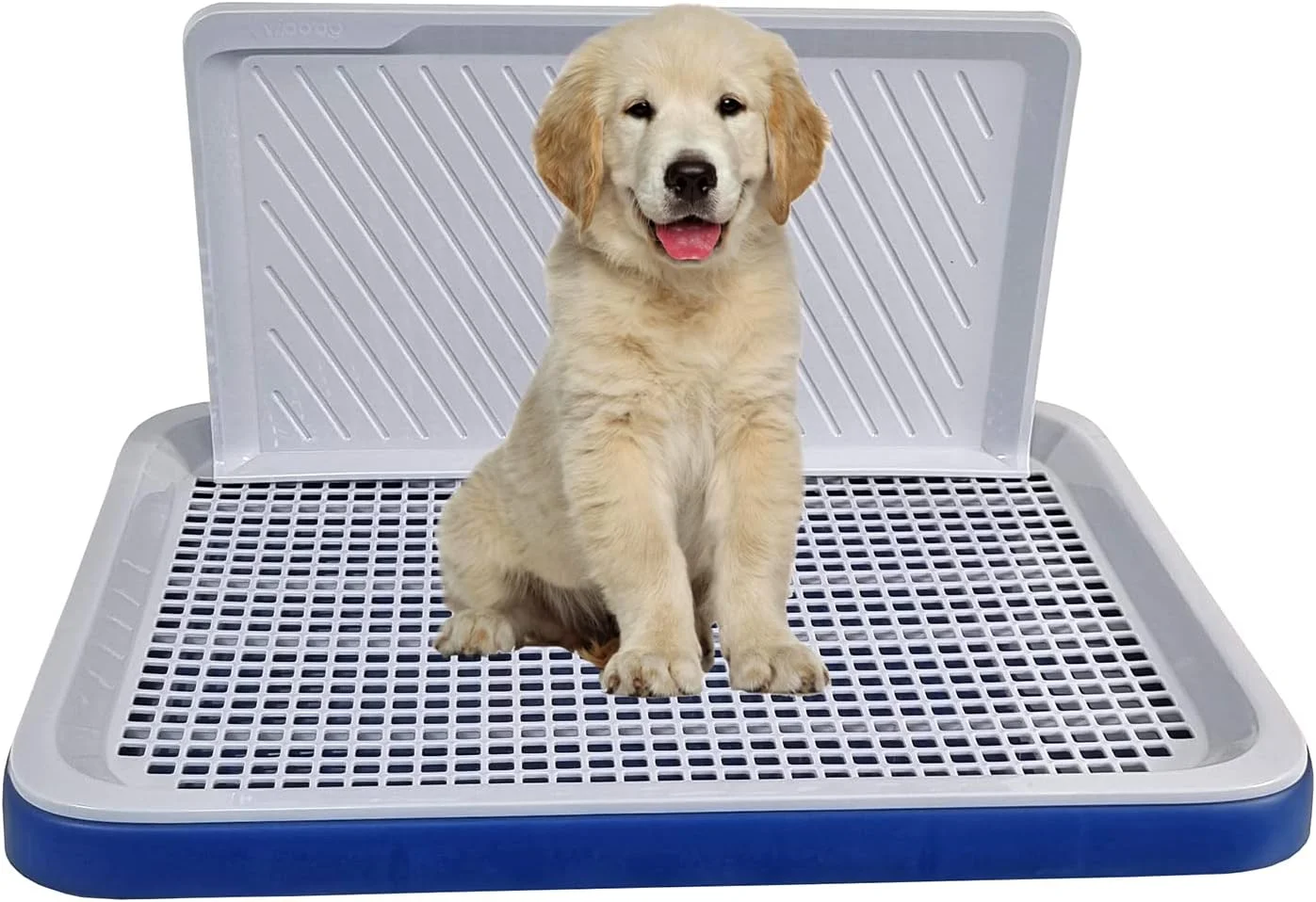 توالت آموزشی سگ، آموزش ادرار سگ، قابل شستشو و تمیز کردن آسان، سینی دستشویی سگ، حفظ تمیزی پنجه ها و کف، قابل حمل، بادوام، داخل و خارج از منزل، رنگ آبی خاکستری، سایز کوچک، 51 سانتی متر طول توالت آموزشی سگ، آموزش ادرار سگ، قابل شستشو و تمیز کردن آسان، سینی دستشویی سگ، حفظ تمیزی پنجه ها و کف، قابل حمل، بادوام، داخل و خارج از منزل، رنگ آبی خاکستری، سایز کوچک، 51 سانتی متر طول