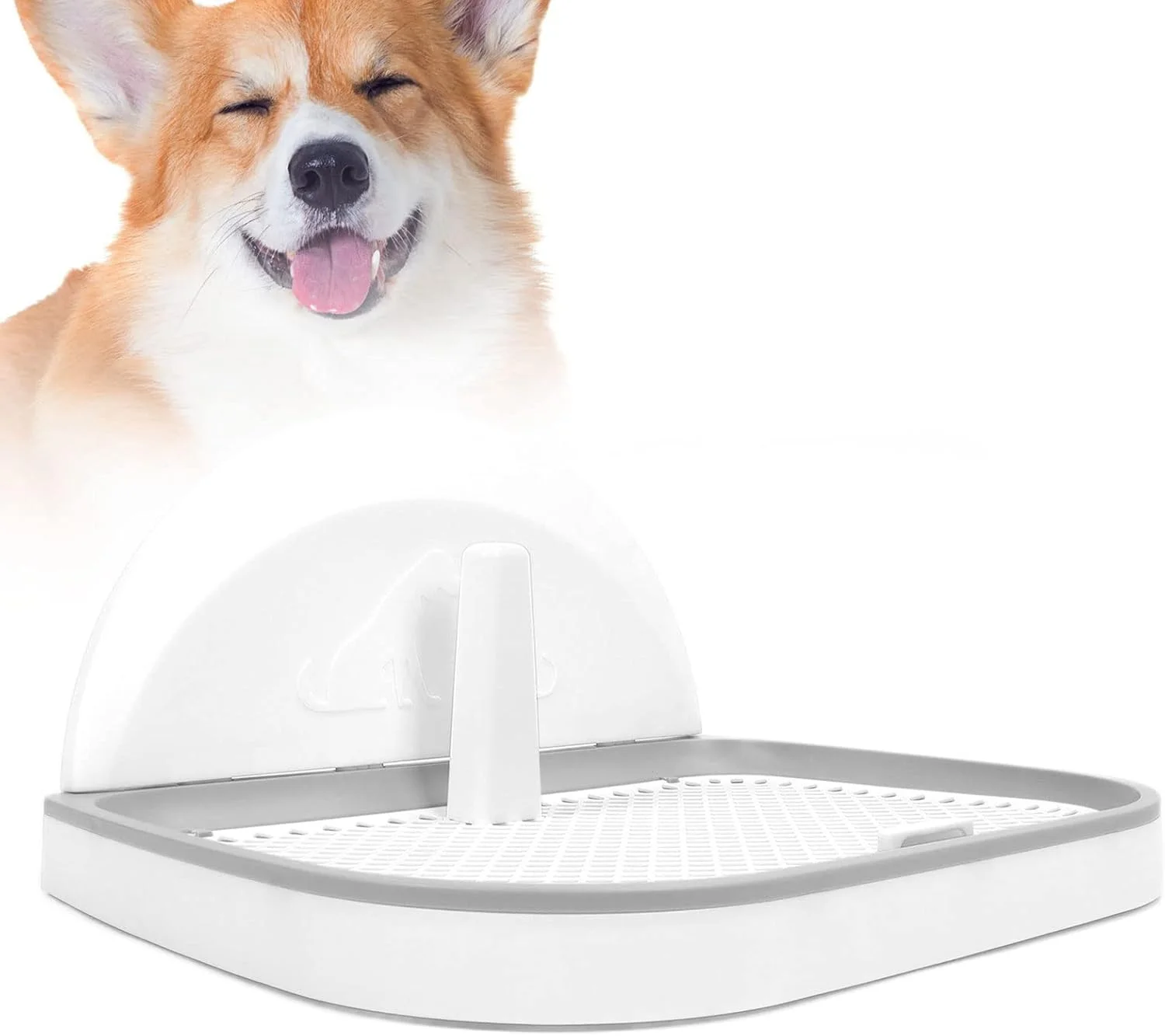 توالت آموزشی سگ، سینی توالت حصاردار با پوشش دیواری، نگهدارنده پد آموزشی، محافظت از کف، نگهدارنده پد سگ (خاکستری)