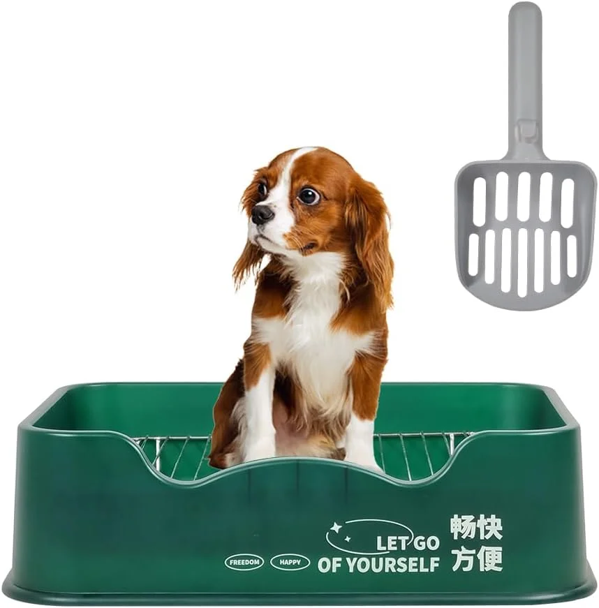توالت آموزشی ادرار سگ KAKEI، سینی ادرار سگ مناسب فضای داخلی و خارجی، حفظ تمیزی پنجه ها و کف، توری استیل ضد زنگ (سبز)، قابل شستشو و تمیز کردن آسان
