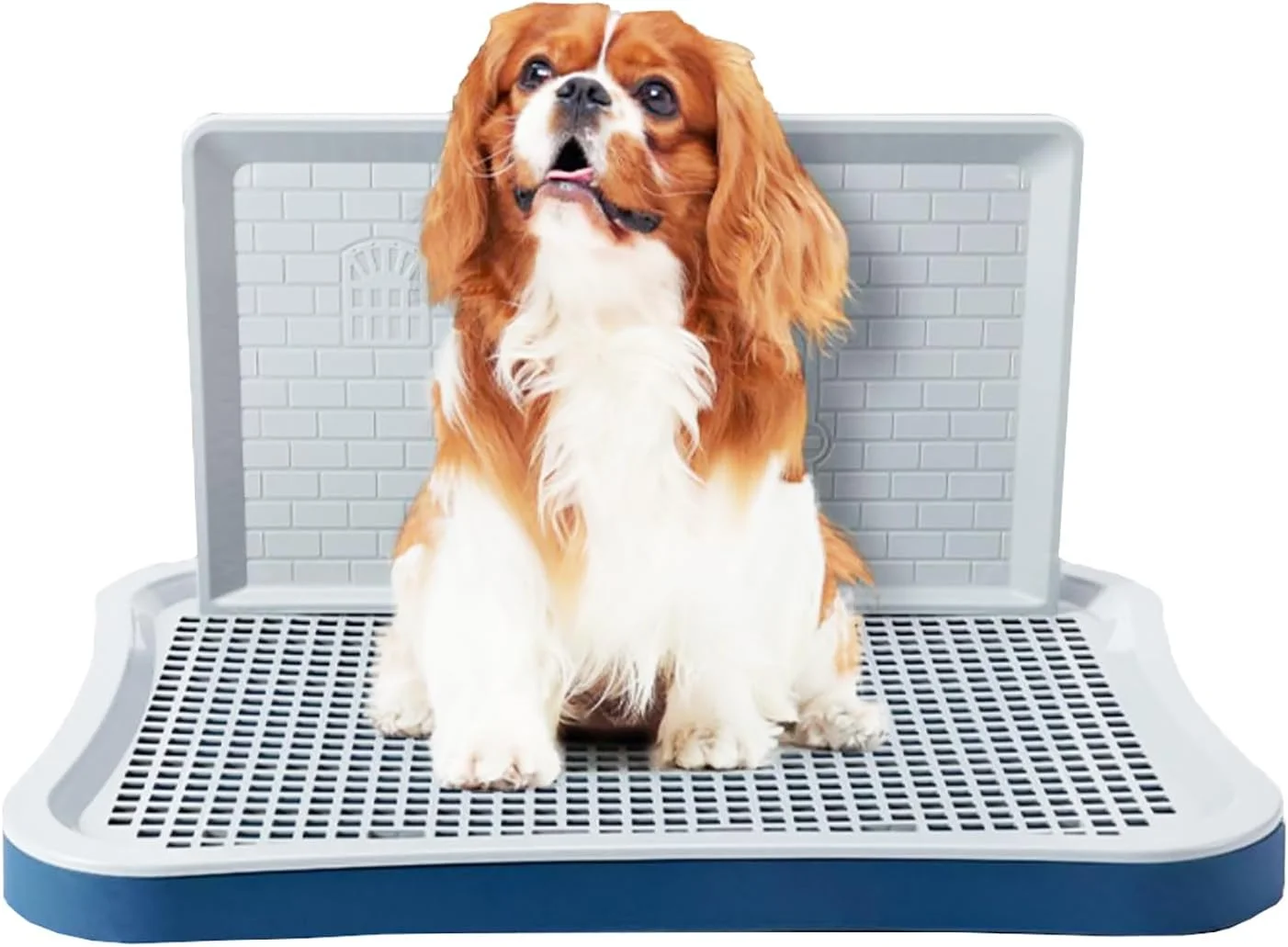 توالت آموزش ادرار سگ، نگهدارنده پد ادرار توله سگ با ستون دیواری، قابل حمل، توالت توری آموزش ادرار برای حیوانات خانگی بزرگ، کوچک و متوسط