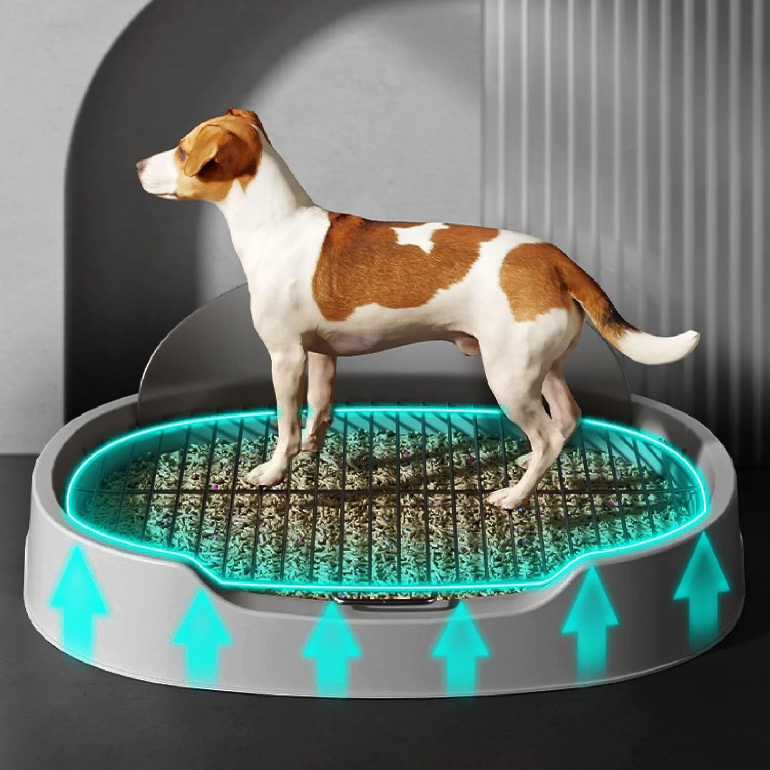 توالت آموزشی سگ برای توله سگ و سگ های کوچک، 51x42x18 سانتی متر، نگهدارنده پد ادرار توله سگ با دیوار محافظ، سینی آموزش ادرار توری، توالت سگ (خاکستری)