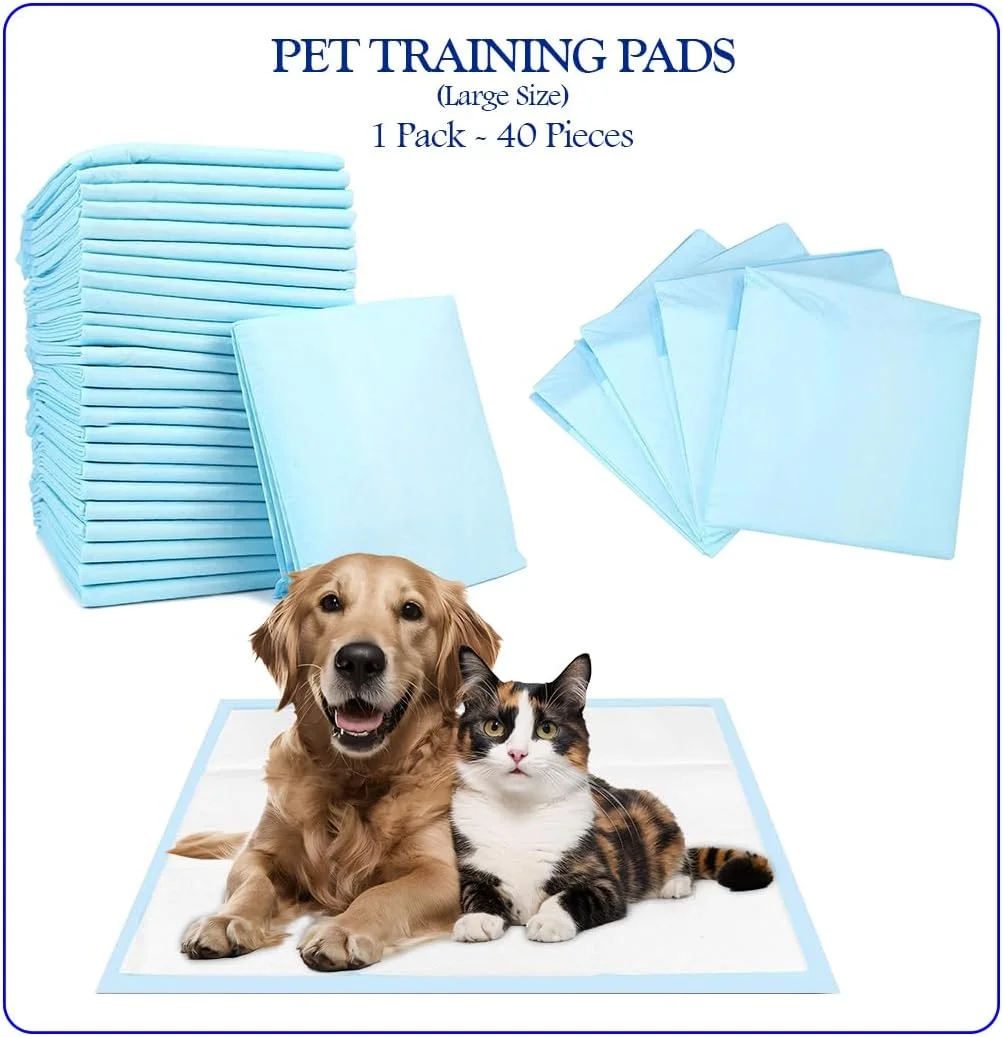 Dog Training pads with 5-layer thickness, Soft and Quick-dry pad for small to large pets, 60x60 cm (L), Absorbent Disposable pads, Leak-proof and Portable potty pads, 40 pieces of 1 pack (Blue)