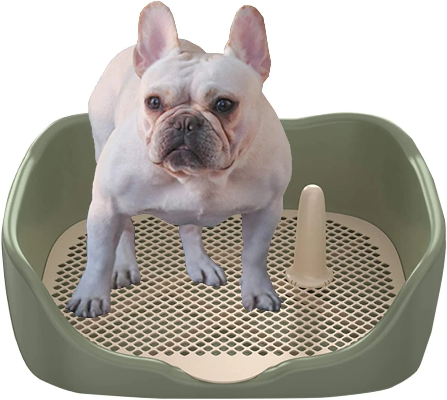 آموزش دستشویی توله سگ و سگ با توری و میله جداشدنی، سینی توالت آموزشی حصاردار پلاستیکی قابل حمل برای گربه ها و سگ های کوچک تا بزرگ (رنگ: استایل-1، سایز: 45×38×16 سانتی متر)