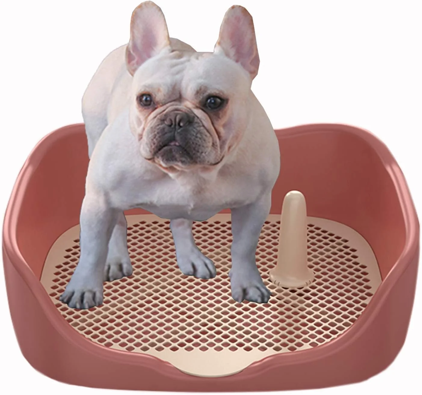 آموزش دستشویی توله سگ و سگ با توری و میله جداشدنی، سینی توالت قابل حمل پلاستیکی حصاردار برای گربه ها و سگ های کوچک تا بزرگ (رنگ: استایل-2، سایز: 50×41.5×16 سانتی متر)