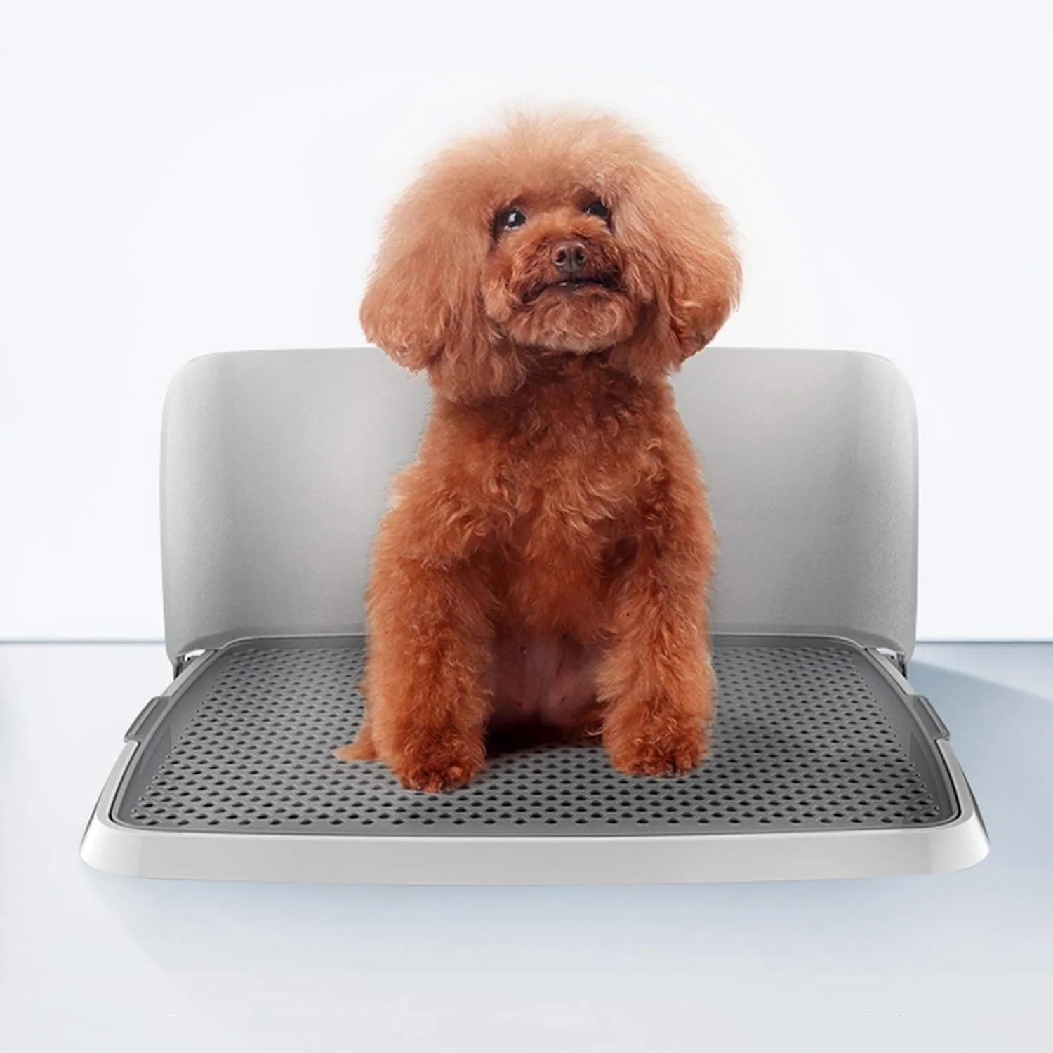 سینی آموزش دستشویی توله سگ با دیوار تاشو، توالت پلاستیکی سگ برای سگ ها و گربه های کوچک، متوسط و بزرگ، نگهدارنده پد ادرار حیوانات خانگی برای حمام (رنگ: خاکستری، اندازه: 48×36×21 سانتی متر)