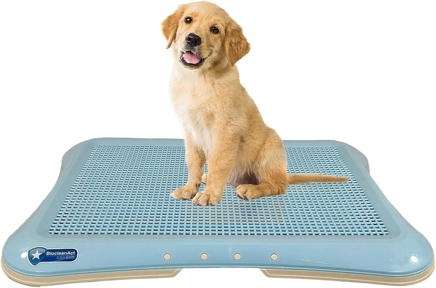 آموزش توالت به سگ برای سگ های بزرگ، توالت سگ پلاستیکی بادوام با طراحی جداشدنی و کف ضد لغزش، نگهدارنده پد ادرار حیوانات خانگی، ایده آل برای داخل و خارج از خانه، تمیز کردن آسان 64 سانتی متر (آبی)