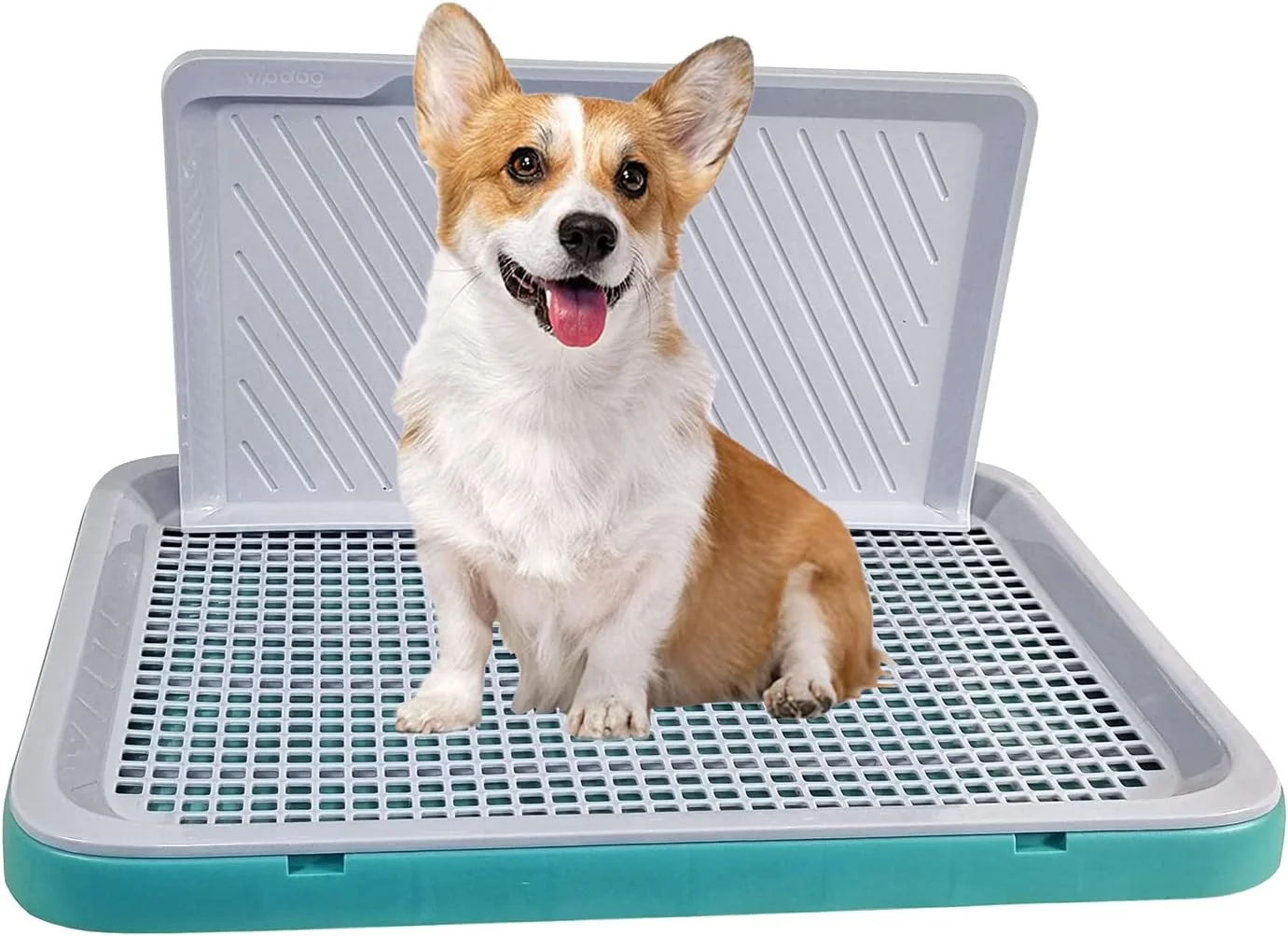 توالت آموزشی سگ برای سگ های کوچک، سینی آموزش ادرار توله سگ پلاستیکی بادوام با دیوار محافظ، طراحی جداشدنی و پایه ضد لغزش، پنجه ها را خشک و کف را تمیز نگه می دارد، مناسب فضای داخلی و خارجی 51 سانتی متر (سبز)