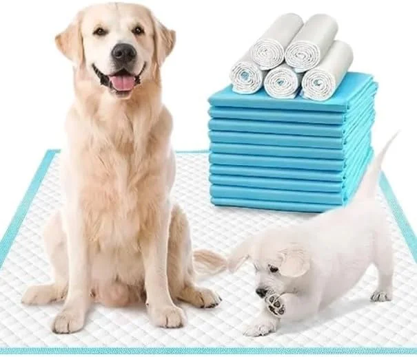 پد ادرار حیوانات خانگی، پد آموزشی سگ، پد ادرار یکبار مصرف، پد ادرار فوق العاده جاذب حیوانات خانگی. خشک شدن سریع، ضد نشت، پد آموزشی یکبار مصرف برای حیوانات خانگی 60X60 سانتی متر، 50 عدد