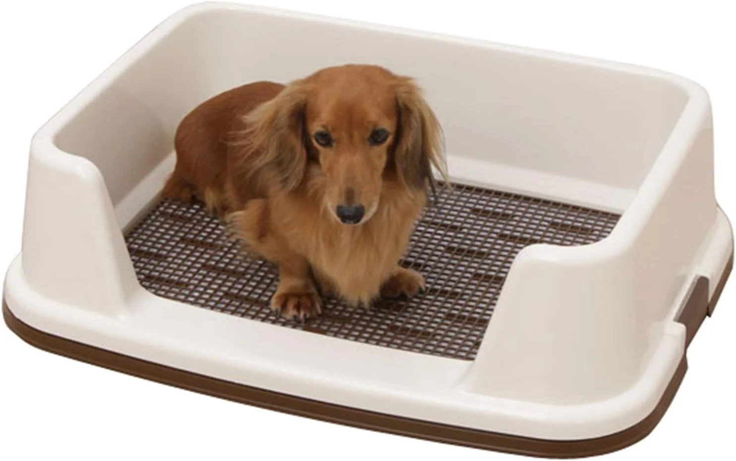 توالت سگ کوچک با حصار، آموزش توالت توله سگ برای پاسیو، بالکن، حمام و آپارتمان، نگهدارنده محافظ پد سگ (رنگ: قهوه ای، اندازه: 51×39×15.4 سانتی متر)