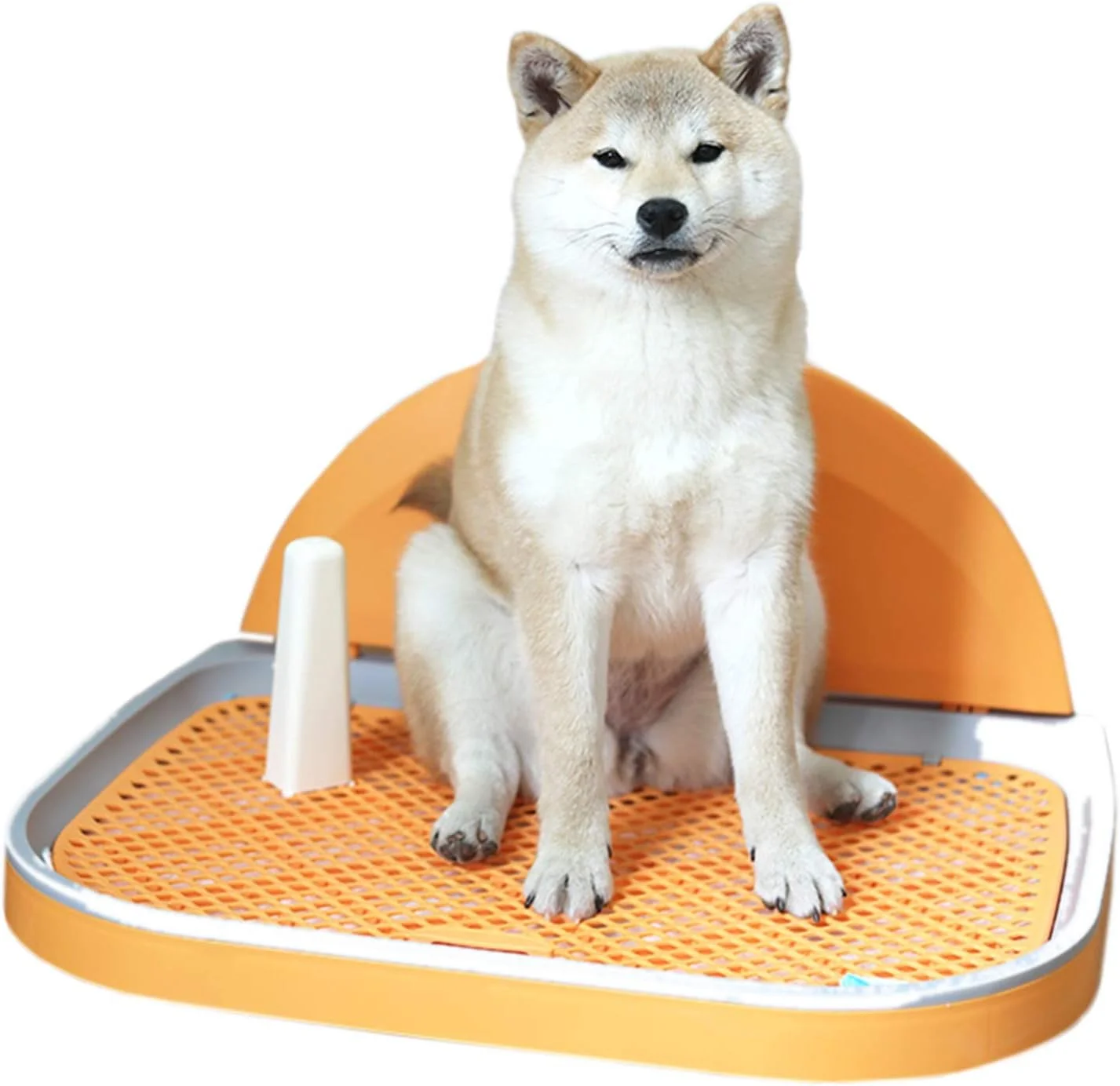 سینی آموزش توالت سگ با توری و پوشش دیواری، نگهدارنده پد ادرار توله سگ بزرگ برای حمام، پاسیو، خانه، بالکن داخلی، پلاستیکی (رنگ: نارنجی، اندازه: 46×37.5×4.5 سانتی متر)