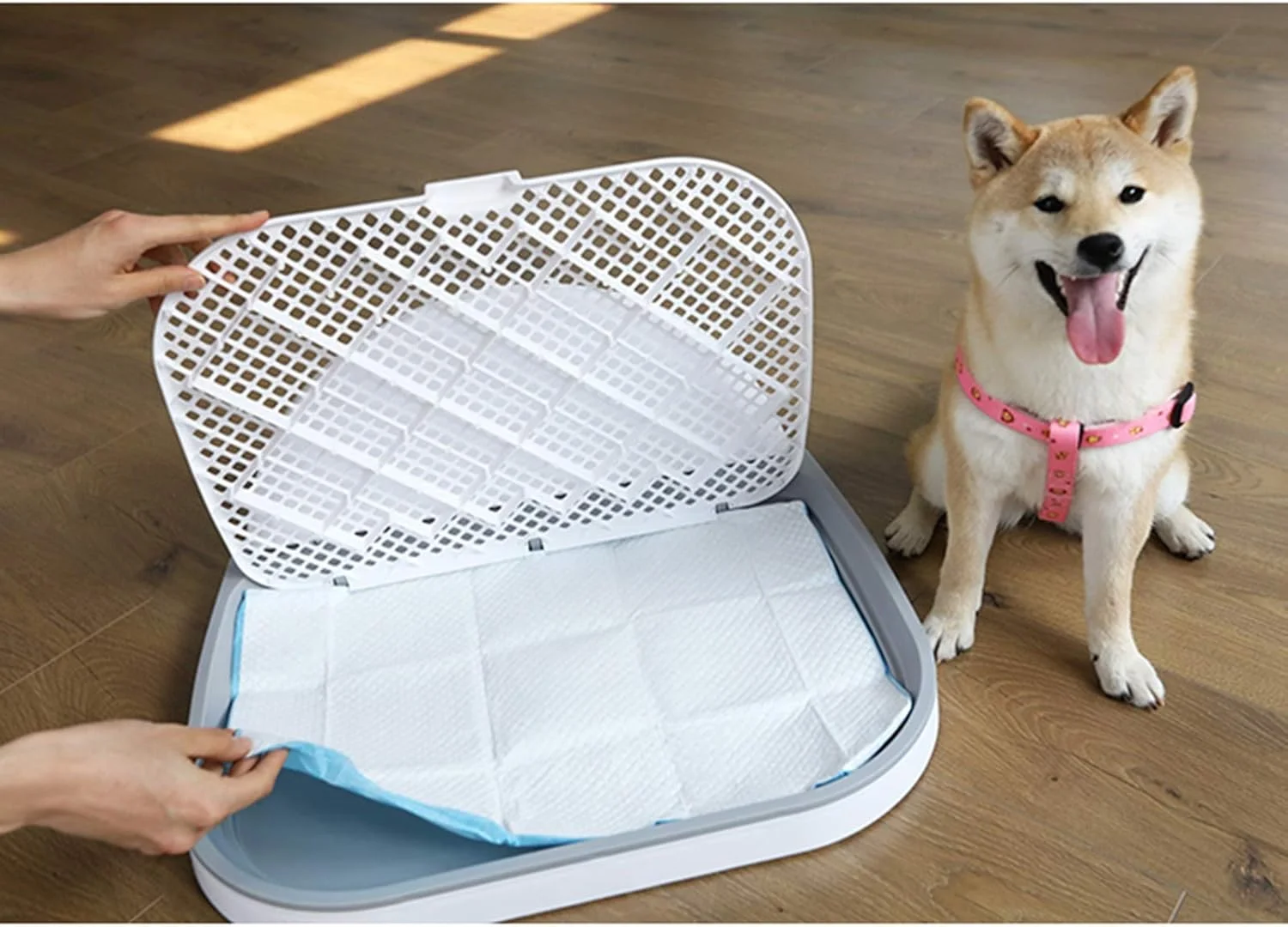 سینی آموزش توالت سگ با توری و پوشش دیواری، نگهدارنده بزرگ پد دستشویی توله سگ برای حمام، پاسیو، خانه، بالکن داخلی، پلاستیکی (رنگ: سفید، سایز: 57×45×4.5 سانتی متر)