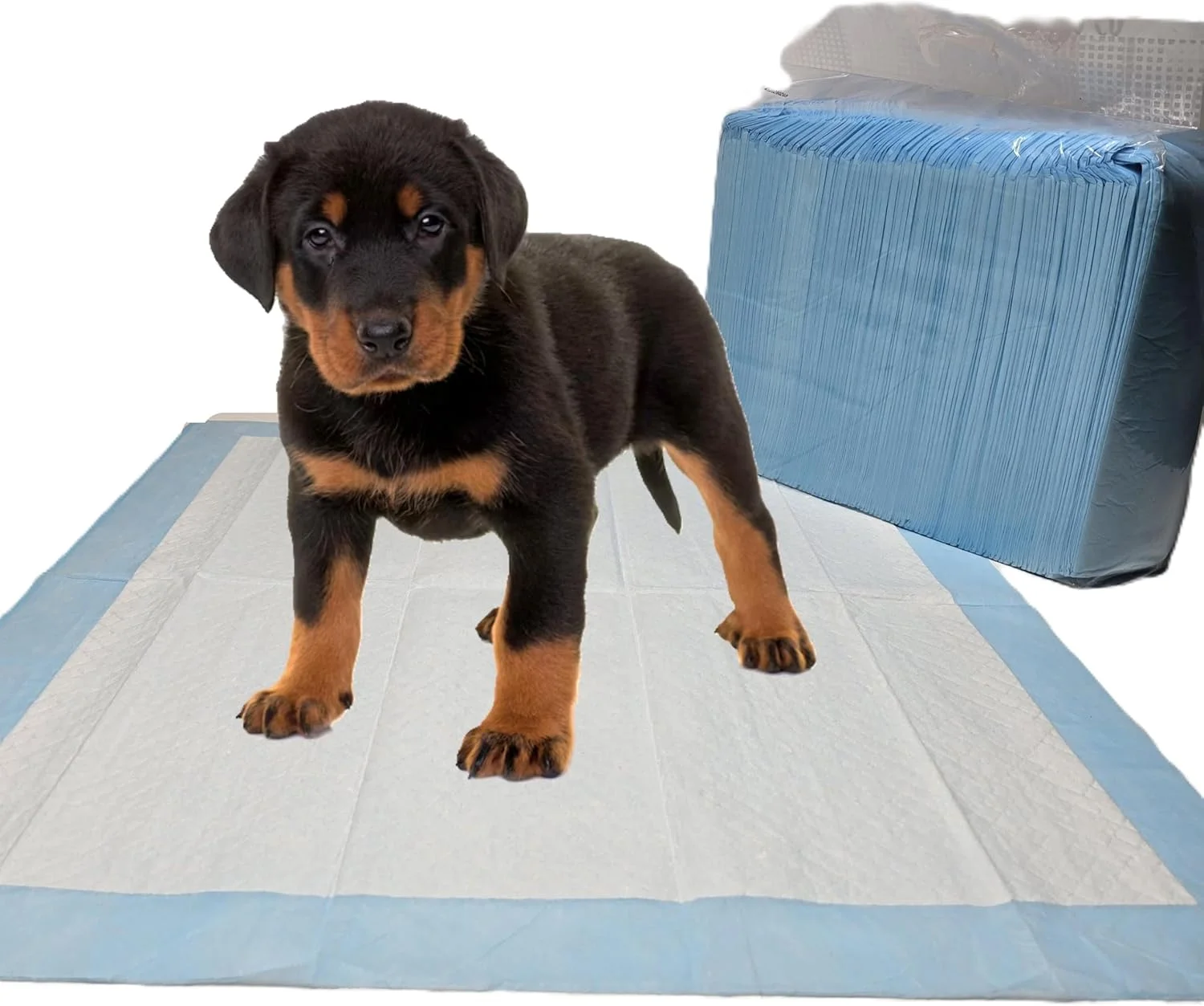 پدهای آموزشی حیوانات خانگی، بزرگ 60x60 سانتی متر، چند لایه فوق العاده جاذب، آبی و سفید، 100 عدد