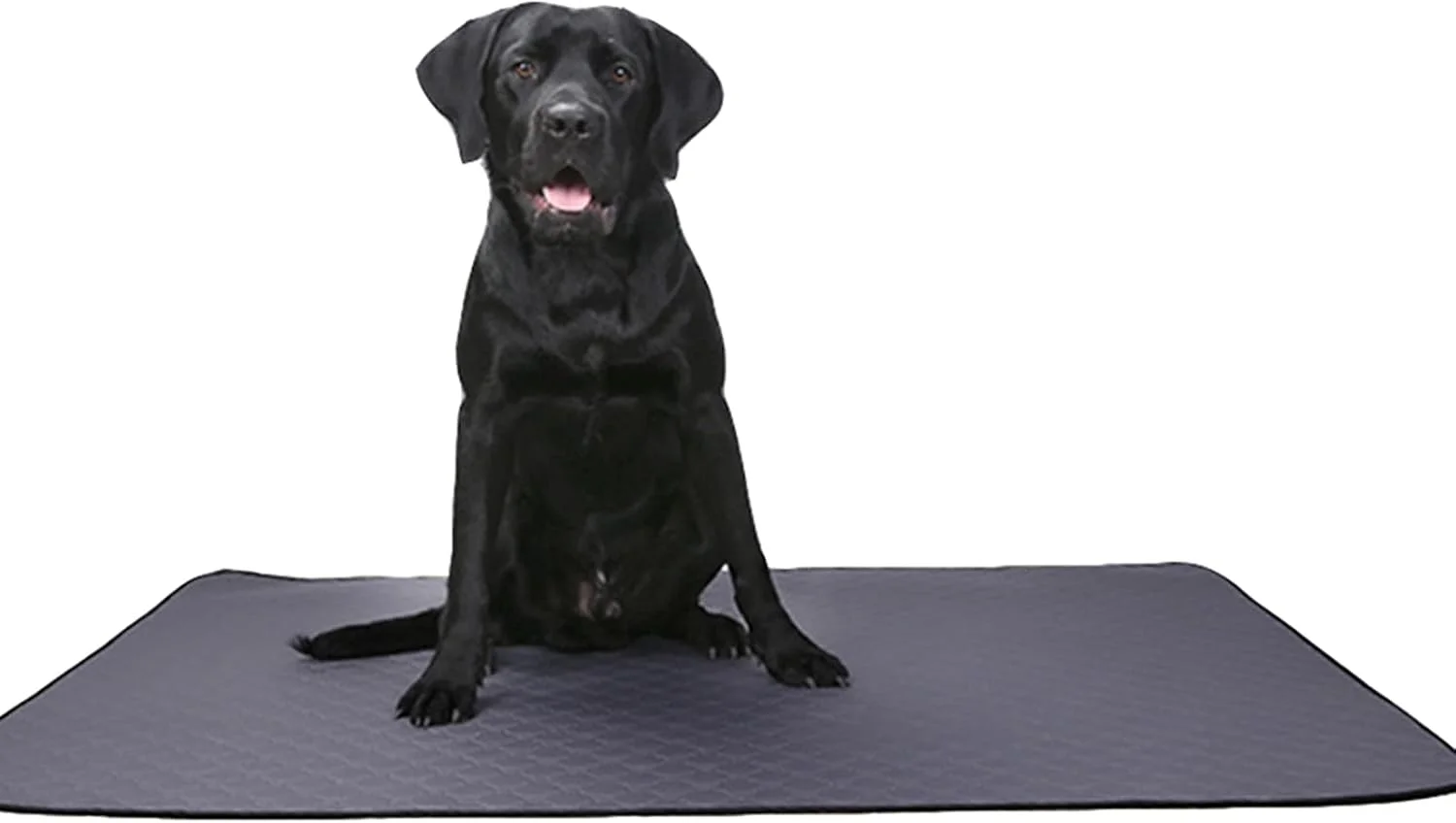 پد آموزش سگ، پد ادرار جاذب سگ، تشک قابل شستشو برای توله سگ، پدهای مسافرتی سگ، پد بی اختیاری حیوانات خانگی بدون نشت آب، قابل استفاده مجدد، کنترل کننده بو