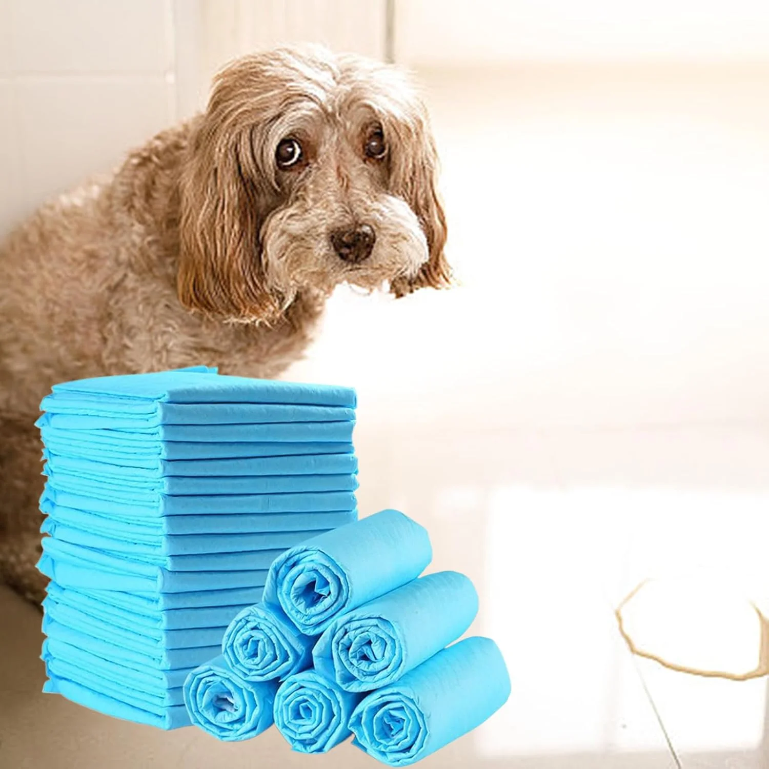 پدهای ادرار سگ | پدهای آموزشی توله سگ | 100 عدد با سطوح خشک شونده سریع، فوق العاده جاذب، لوازم حیوانات خانگی برای آموزش ادرار گربه ها، بچه گربه ها، حیوانات کوچک و همه نژادها