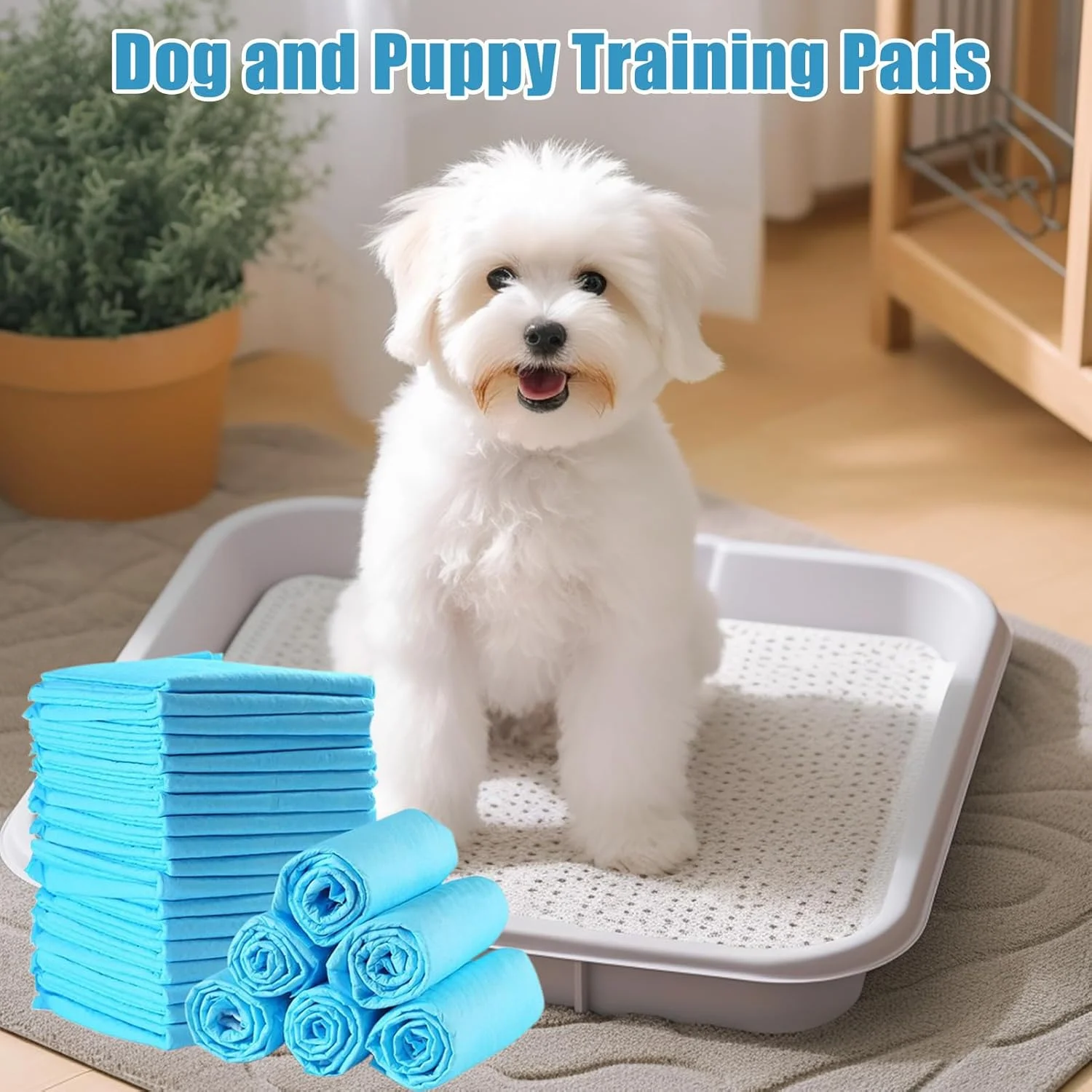 پدهای ادرار سگ، پدهای آموزش سگ | 100 عدد پد فوق العاده جاذب و از بین برنده بو، لوازم حیوانات خانگی برای آموزش ادرار و تربیت سگ، مناسب برای حیوانات کوچک، گربه ها، بچه گربه ها و همه نژادها