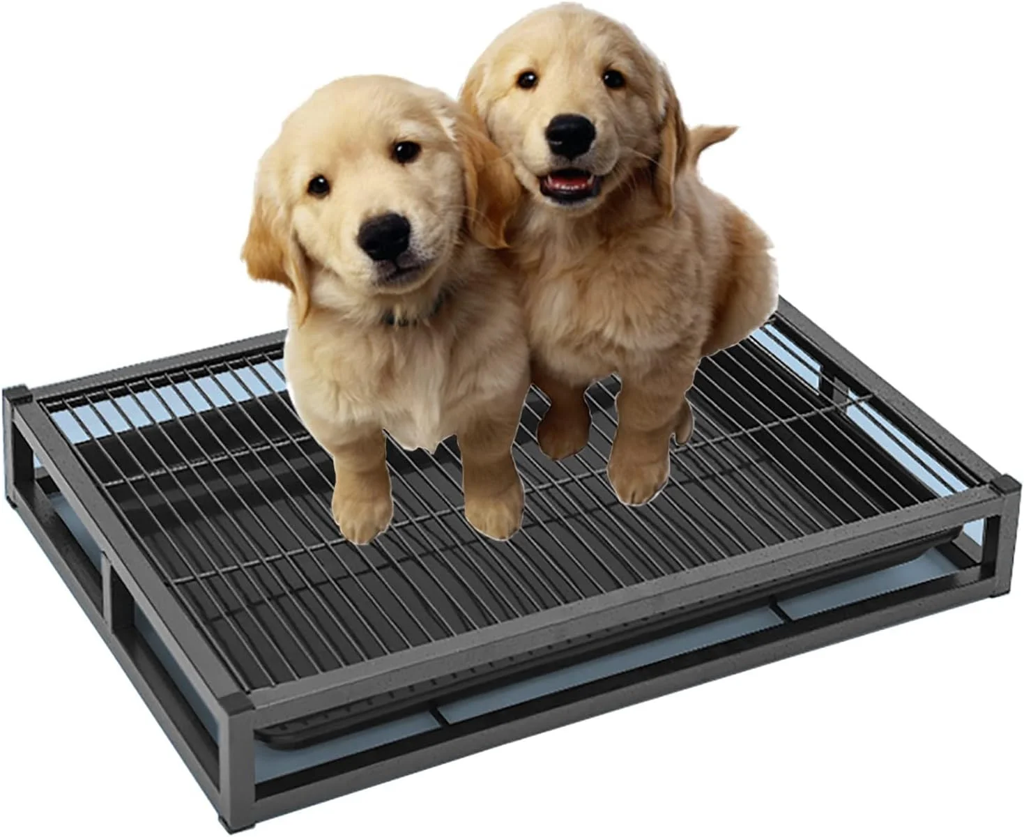 آموزش توالت سگ، پد آموزش سگ بلک برای داخل خانه، تشک ضد لغزش بزرگ و ضد چکه برای آموزش حیوانات خانگی، بهداشتی آسان، برای توله سگ و سگ های بالغ (اندازه: 94x60x10 سانتی متر)