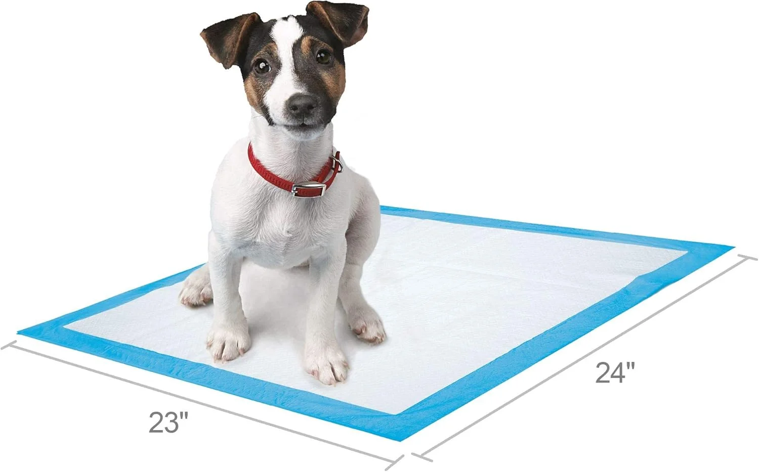 پدهای آموزشی چسبی سگ تاپ پا، سایز 58 در 61 سانتی متر (10 عددی)