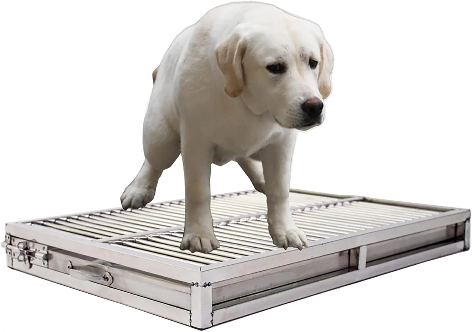 توالت سگ، توالت سگ بزرگ با قابلیت تخلیه، توالت سگ استیل ضد زنگ مناسب اتاق، سینی آموزش حیوانات خانگی، نگهداری آسان با ظرفیت زیاد و بهداشتی (اندازه: 62x42x8 سانتی متر) توالت سگ، توالت سگ بزرگ با قابلیت تخلیه، توالت سگ استیل ضد زنگ مناسب اتاق، سینی آموزش حیوانات خانگی، نگهداری آسان با ظرفیت زیاد و بهداشتی (اندازه: 62x42x8 سانتی متر)