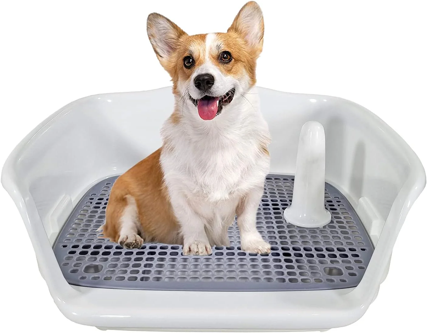 سینی آموزش توالت سگ برای سگ های کوچک تا متوسط، توالت قابل حمل سگ با حصار مرتفع، میله ادرار و طراحی جداشدنی، پنجه ها را خشک و کف را تمیز نگه می دارد، تمیز کردن آسان 47 سانتی متر (خاکستری) سینی آموزش توالت سگ برای سگ های کوچک تا متوسط، توالت قابل حمل سگ با حصار مرتفع، میله ادرار و طراحی جداشدنی، پنجه ها را خشک و کف را تمیز نگه می دارد، تمیز کردن آسان 47 سانتی متر (خاکستری)