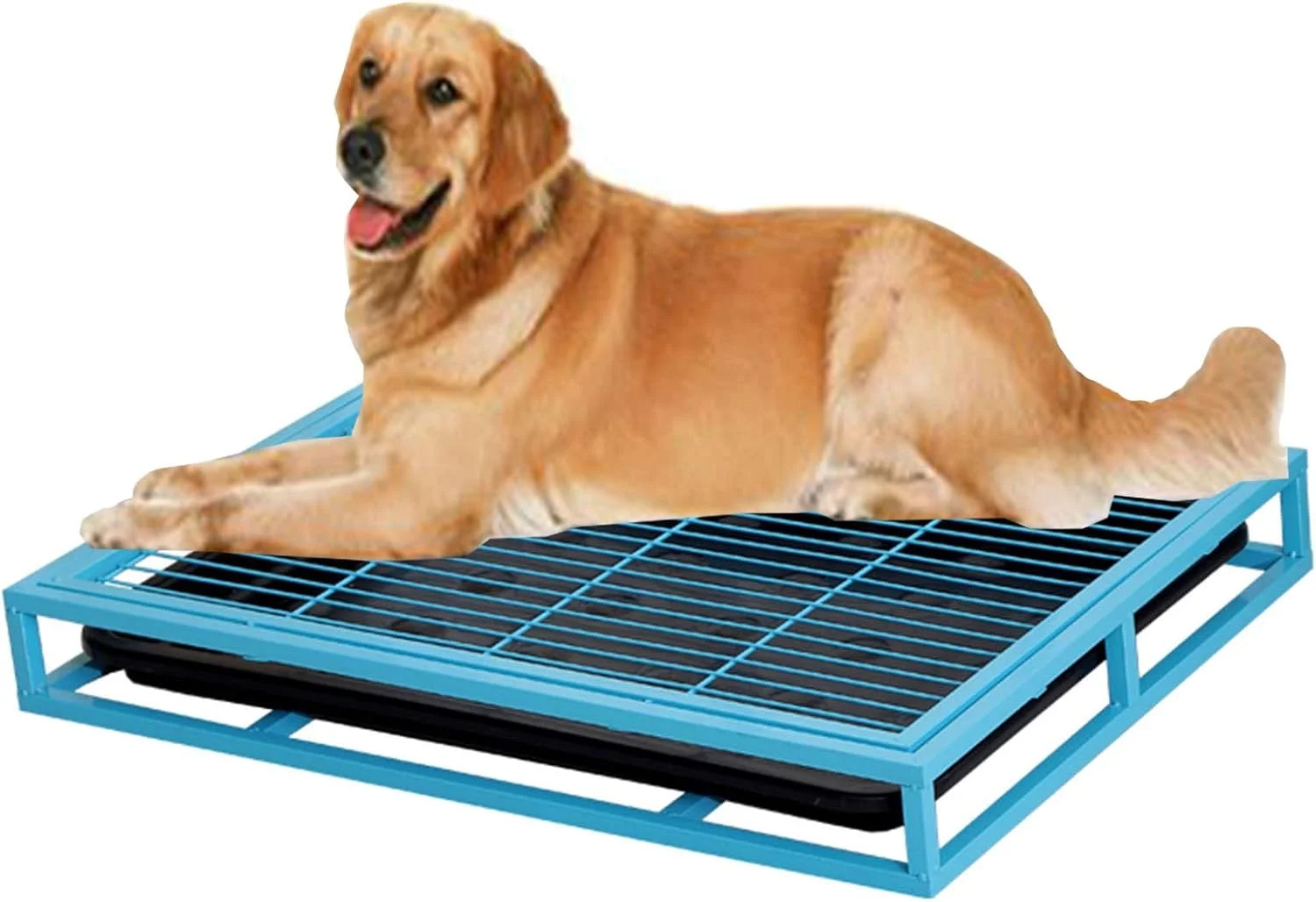 سینی محافظ کف زمین برای آموزش توالت به سگ های پسرانه آبی، نگهدارنده پد ادرار برای آموزش توالت توله سگ برای قفس سگ، ایوان و بالکن پاسیو (سایز: متوسط)