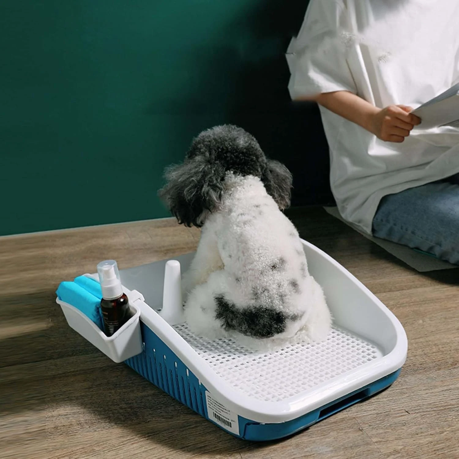 توالت سگ، ضد پاشش، دارای میله راهنما، تمیز کردن آسان، 34 x 24 x 12 سانتی متر، آبی/صورتی/خاکستری (آبی)