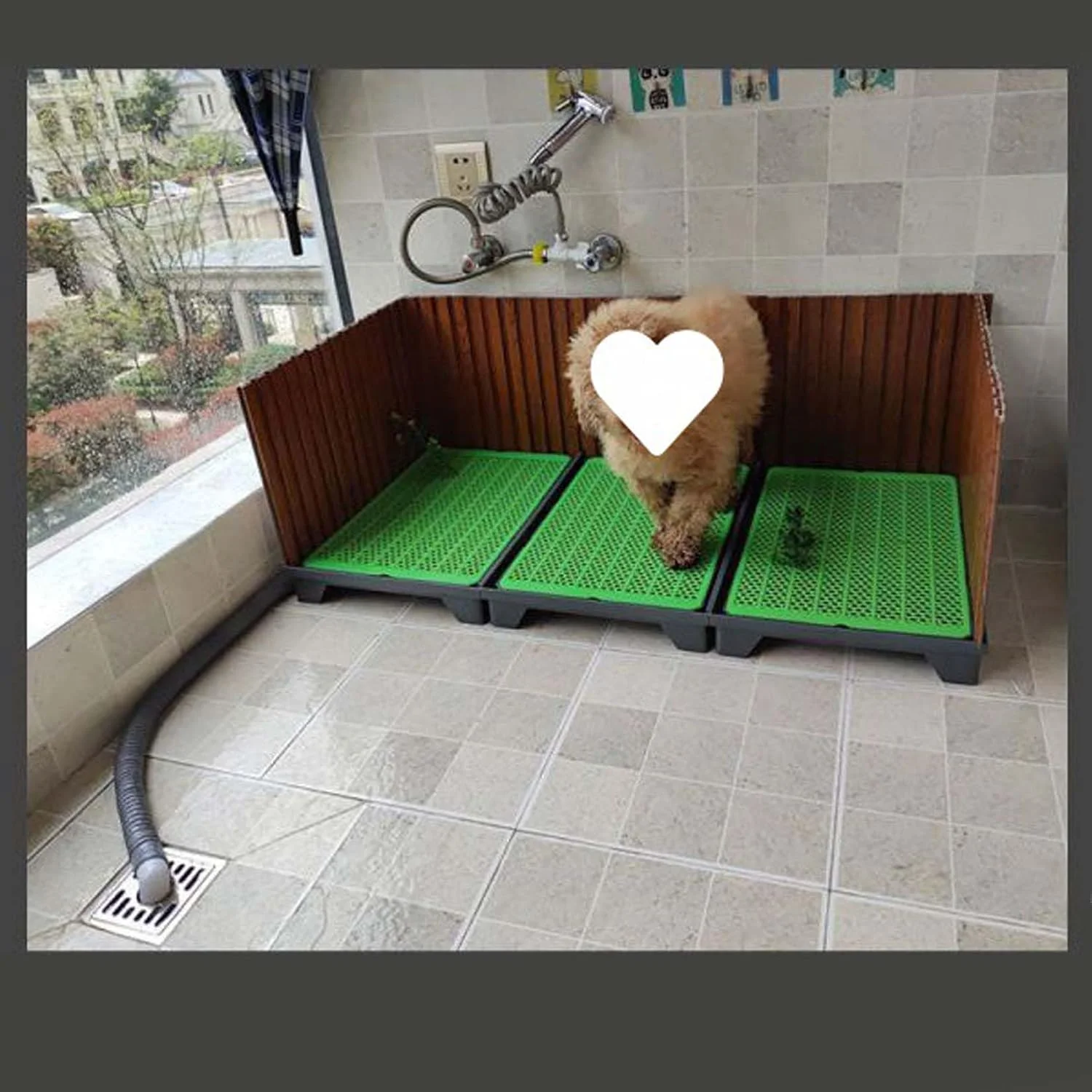 توالت سگ، دارای نرده سه طرفه، تخلیه ادرار خودکار، سایز 45 * 90 سانتی متر، رنگ سبز (B) توالت سگ، دارای نرده سه طرفه، تخلیه ادرار خودکار، سایز 45 * 90 سانتی متر، رنگ سبز (B)