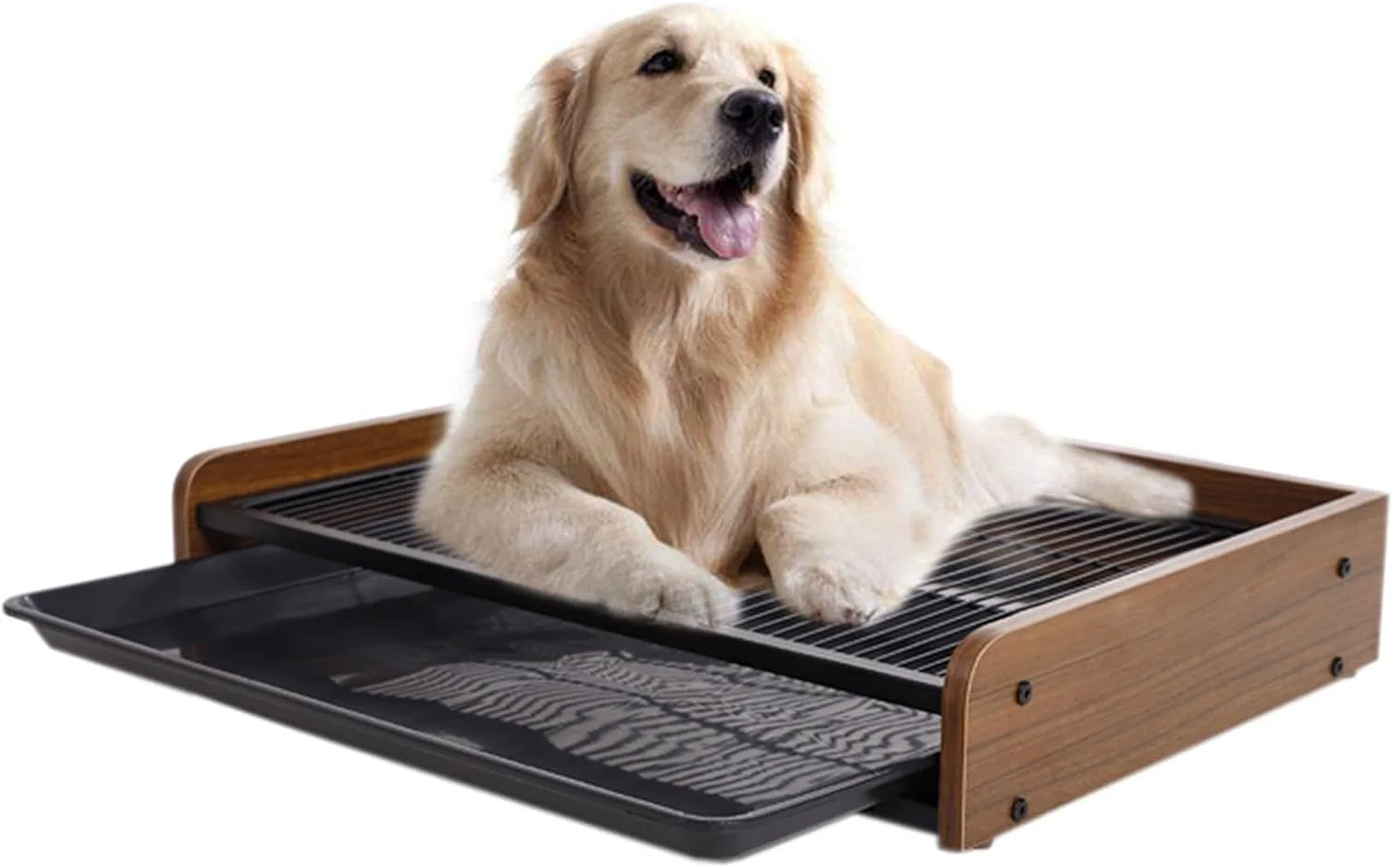 توالت سگ بسیار بزرگ، جای پوشک ادرار ایوان با سینی، آموزش دهنده توالت توله سگ، لوازم سگ سیفون دار حوضچه ادرار، چوب و فلز (رنگ: سبک-1، سایز: کوچک) توالت سگ بسیار بزرگ، جای پوشک ادرار ایوان با سینی، آموزش دهنده توالت توله سگ، لوازم سگ سیفون دار حوضچه ادرار، چوب و فلز (رنگ: سبک-1، سایز: کوچک)