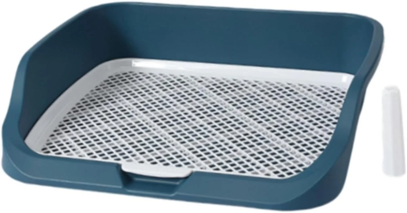 توالت حیوانات خانگی، پد توالت سگ راحت و قابل استفاده مجدد برای توله سگ و حیوانات کوچک خانگی (سبز) توالت حیوانات خانگی، پد توالت سگ راحت و قابل استفاده مجدد برای توله سگ و حیوانات کوچک خانگی (سبز)