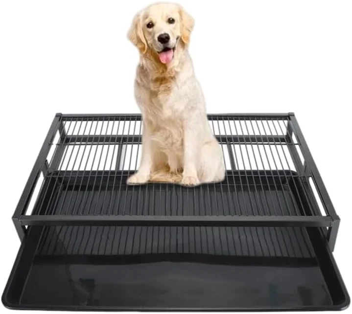 توالت سگ، نگهدارنده پد ادرار، سینی آموزش ادرار حیوانات خانگی قابل استفاده مجدد در داخل و خارج از منزل برای سگ های سایز کوچک، متوسط و بزرگ (M (طول 59 سانتی متر / 23.2 اینچ)) توالت سگ، نگهدارنده پد ادرار، سینی آموزش ادرار حیوانات خانگی قابل استفاده مجدد در داخل و خارج از منزل برای سگ های سایز کوچک، متوسط و بزرگ (M (طول 59 سانتی متر / 23.2 اینچ))