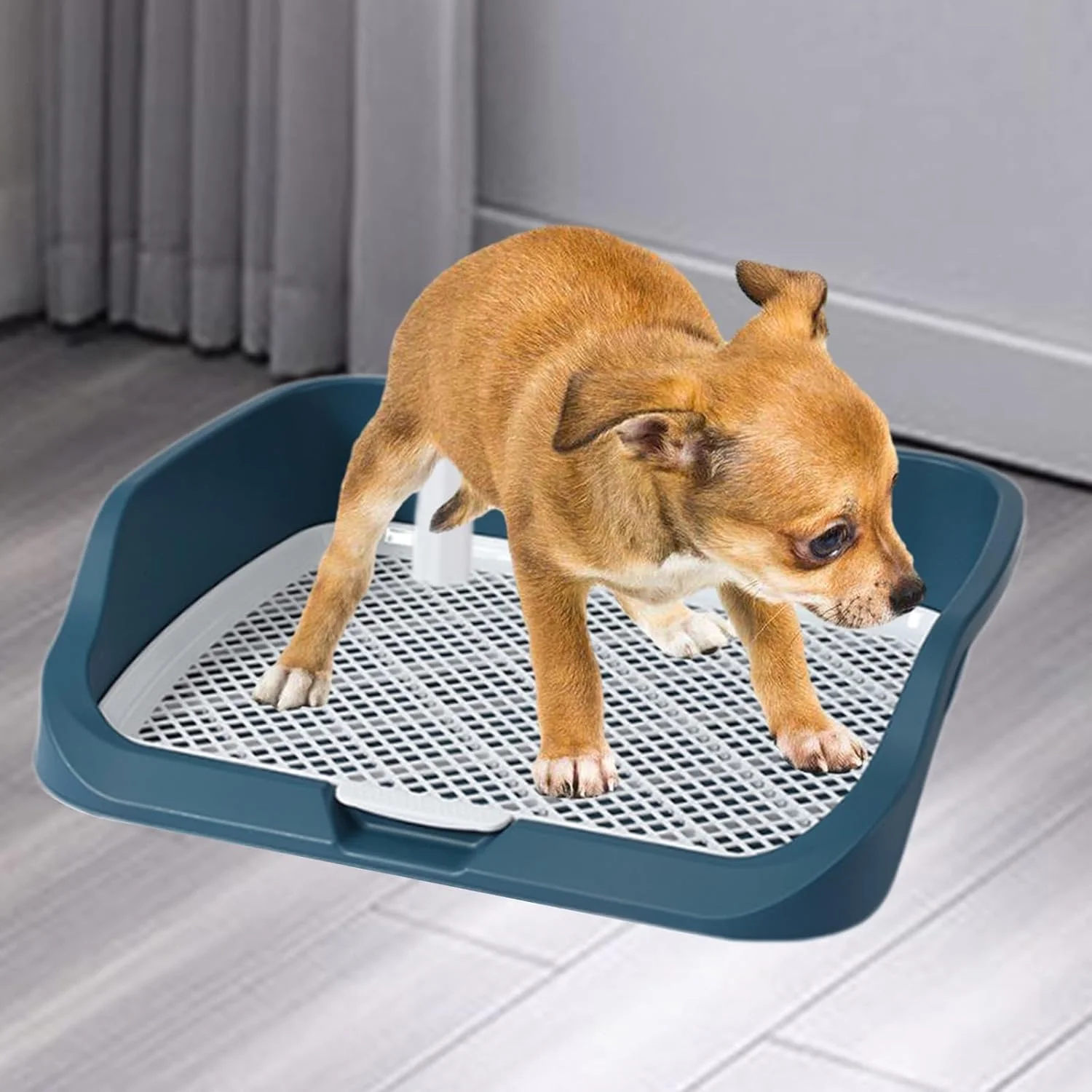 توالت حیوانات خانگی، پد توالت سگ راحت و قابل استفاده مجدد برای توله سگ و حیوانات کوچک خانگی (سبز) توالت حیوانات خانگی، پد توالت سگ راحت و قابل استفاده مجدد برای توله سگ و حیوانات کوچک خانگی (سبز)