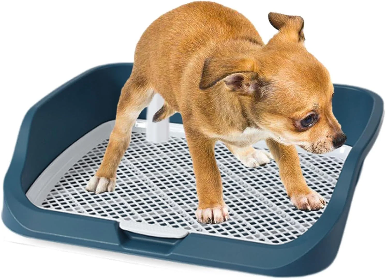 توالت حیوانات خانگی، پد توالت سگ راحت و قابل استفاده مجدد برای توله سگ و حیوانات کوچک خانگی (سبز) توالت حیوانات خانگی، پد توالت سگ راحت و قابل استفاده مجدد برای توله سگ و حیوانات کوچک خانگی (سبز)