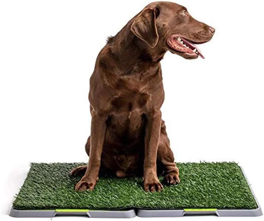 چمن مصنوعی سگ TMKJZL، چمن مصنوعی، آموزش دستشویی، ابزار آموزش دستشویی سگ - مناسب برای توله سگ ها و سگ های بالغ، L(S)