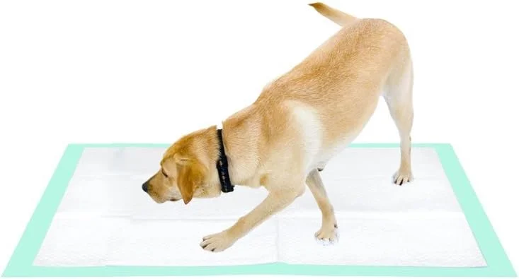 پدهای آموزشی سگ Thxpet، فوق العاده جاذب و ضد نشت، بسته 40 عددی، اندازه 71x86 سانتی متر