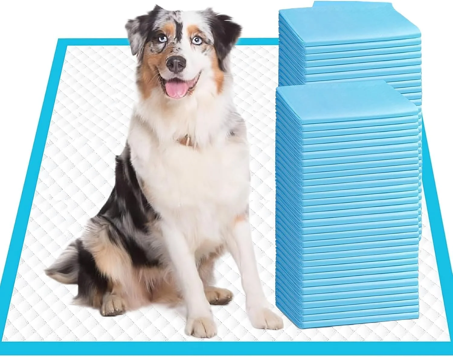 پدهای آموزشی فوق العاده جاذب و ضد نشت حیوانات خانگی - 60x90 سانتی متر، پدهای ادرار یکبار مصرف سریع خشک شونده برای سگ و گربه، 40 عدد، آموزش دستشویی، استفاده در داخل/خارج از منزل، پدهای توله سگ برای حیوانات خانگی