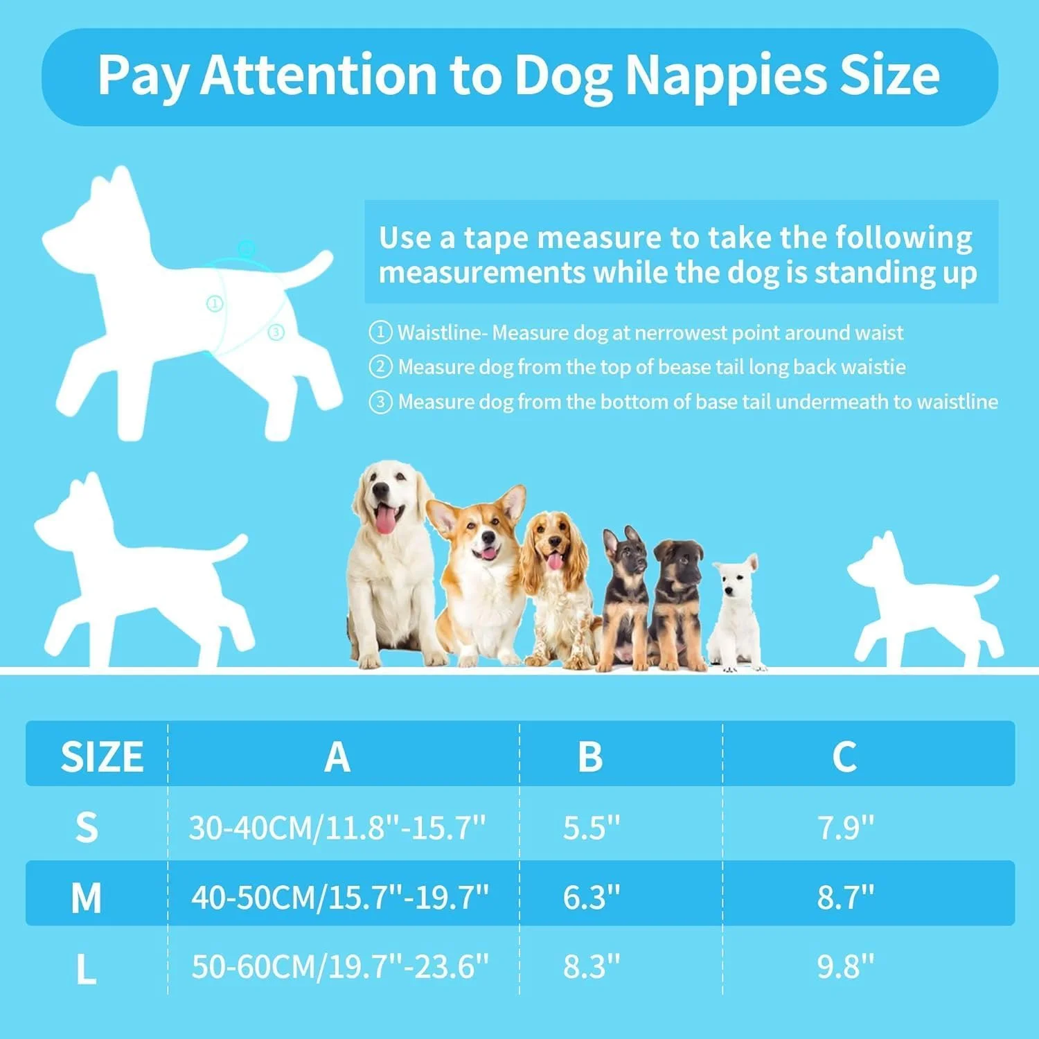 پوشک سگ ماده قابل استفاده مجدد TERRIFI، 3 عدد شورت قاعدگی سگ قابل شستشو، فوق العاده جاذب با طراحی دامن، پوشک قابل تنظیم برای سگ های کوچک، متوسط ​​و بزرگ مبتلا به بی اختیاری (M)